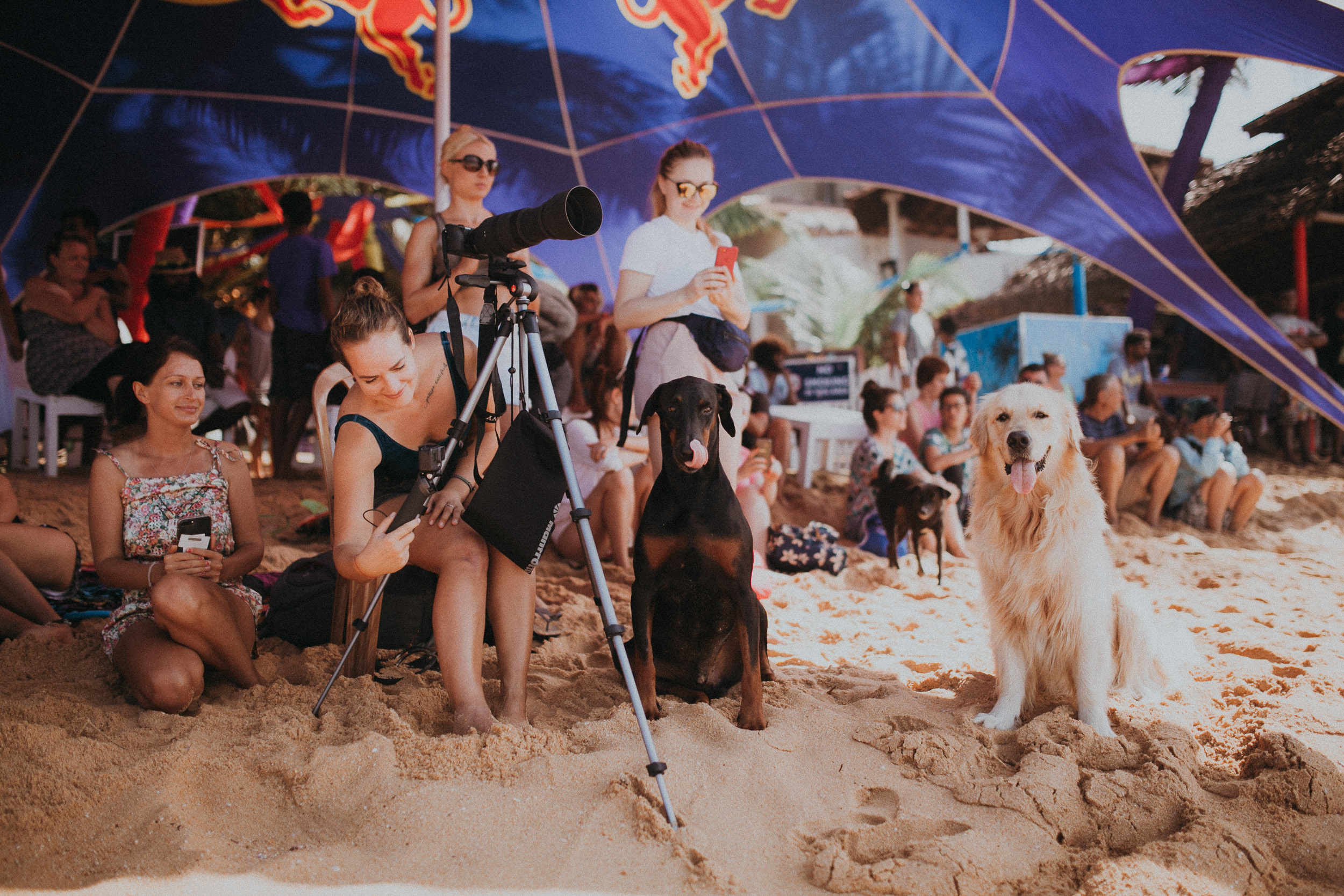 Red Bull Ride my wave. Alex&Polly | Wedding & Family Photographer Tbilisi