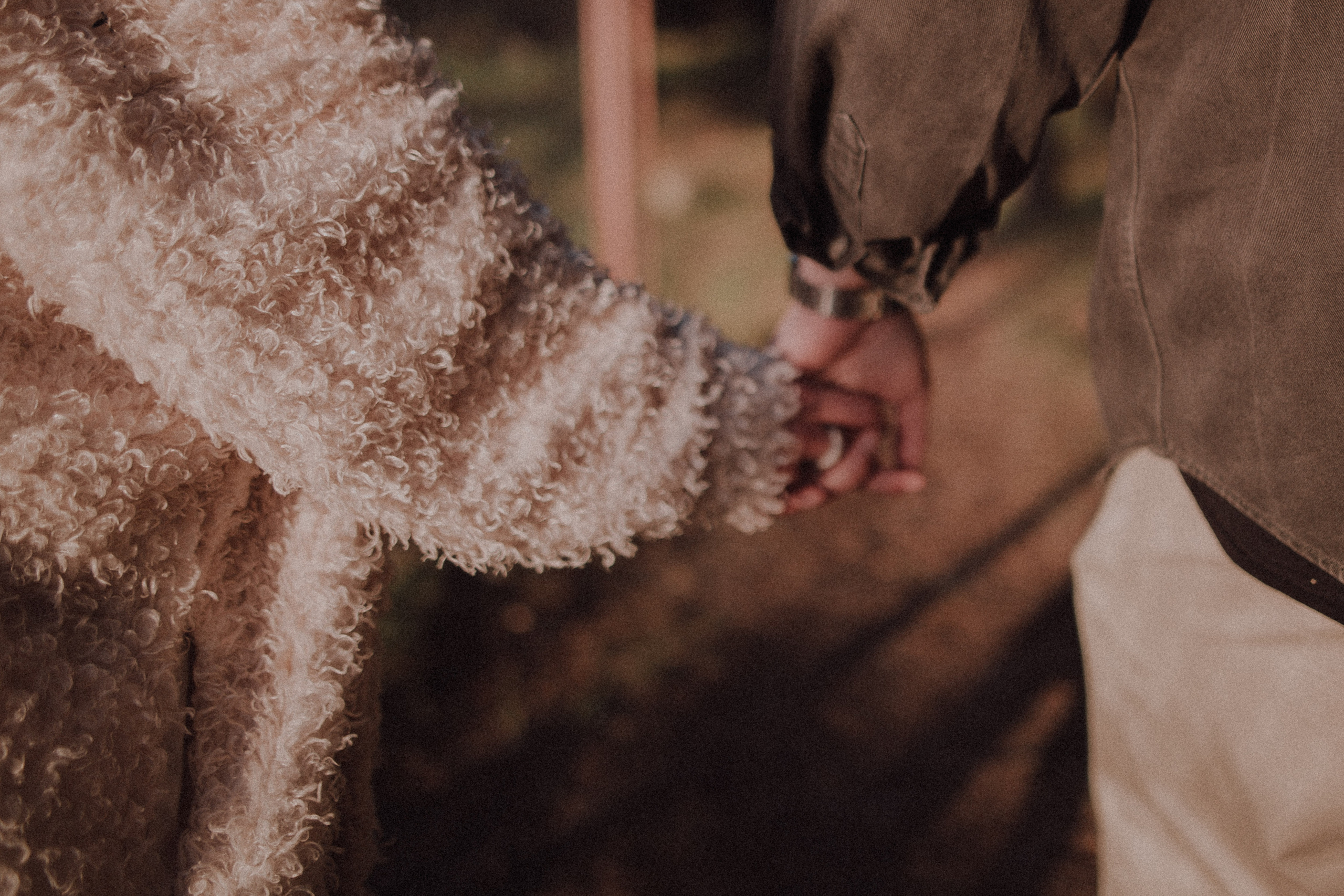 Тата и Денис. Свадебный и семейный фотограф | Тбилиси Грузия | Alex and Polly