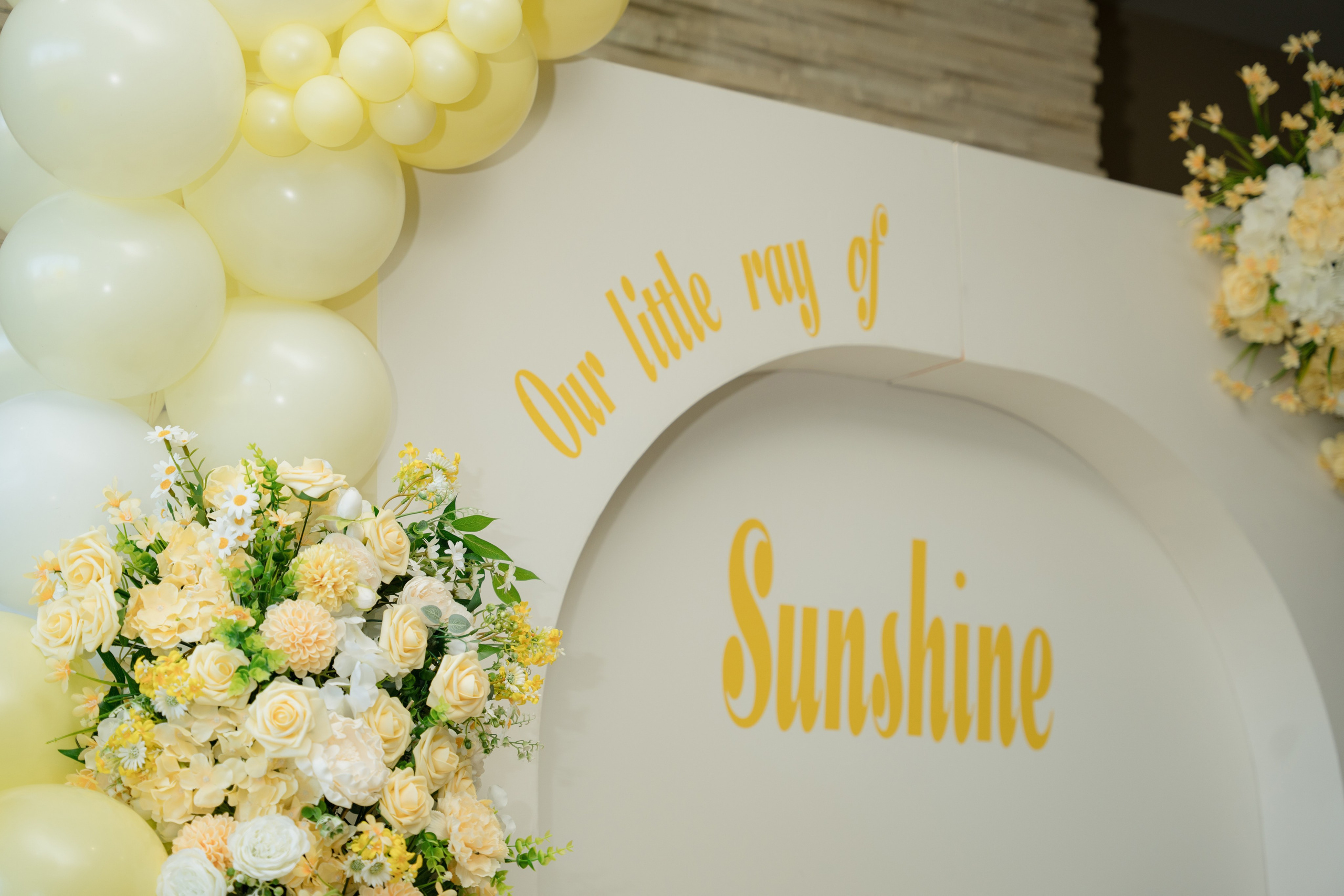 Harshada’s Baby Shower. Photographer in Washington Sophia D
