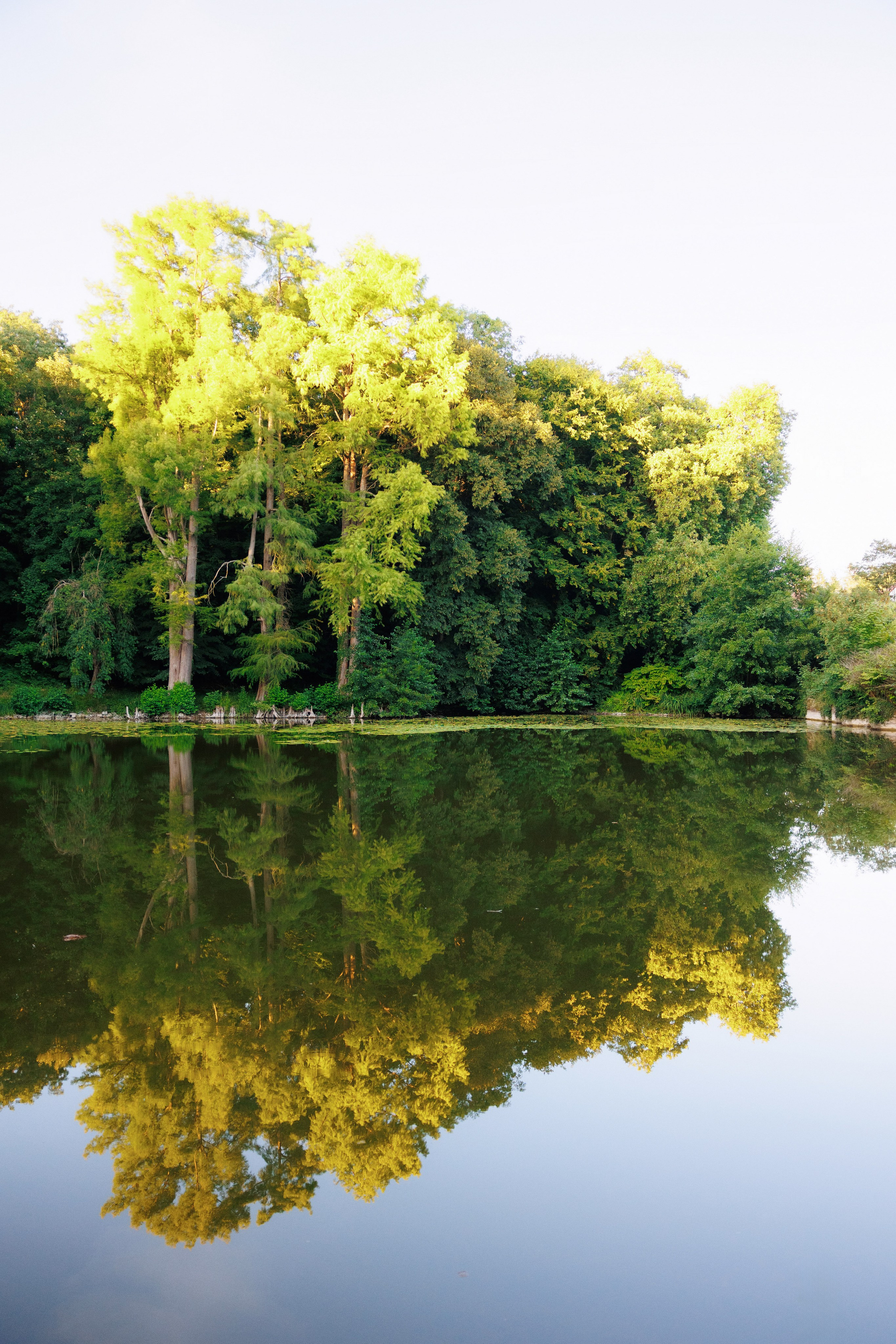 Seulement dans tes bras. Servicii Foto Video în Chișinău și Europa ID-Brothers