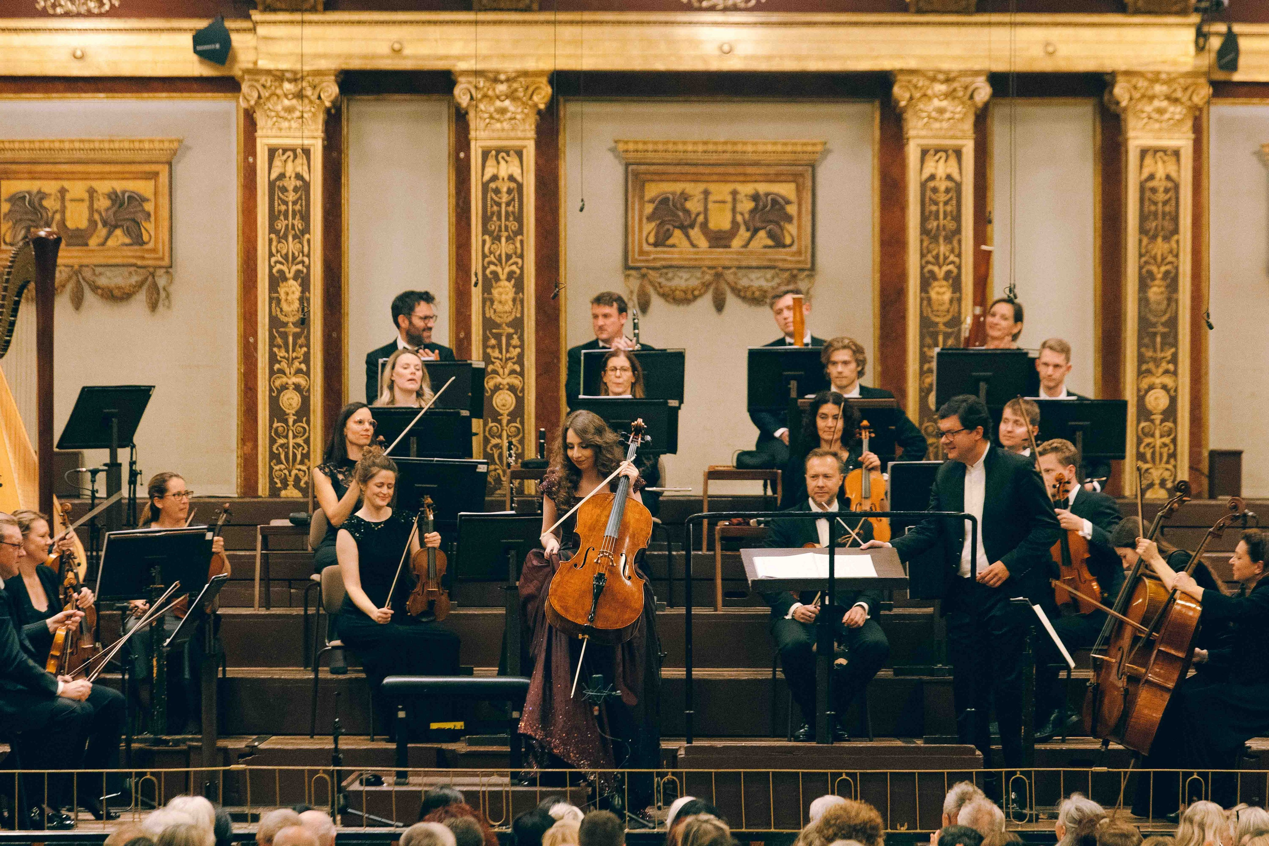 MUSIKVEREIN (VIENNA). Wedding&Event photographer Ismail Rzayev in Baku