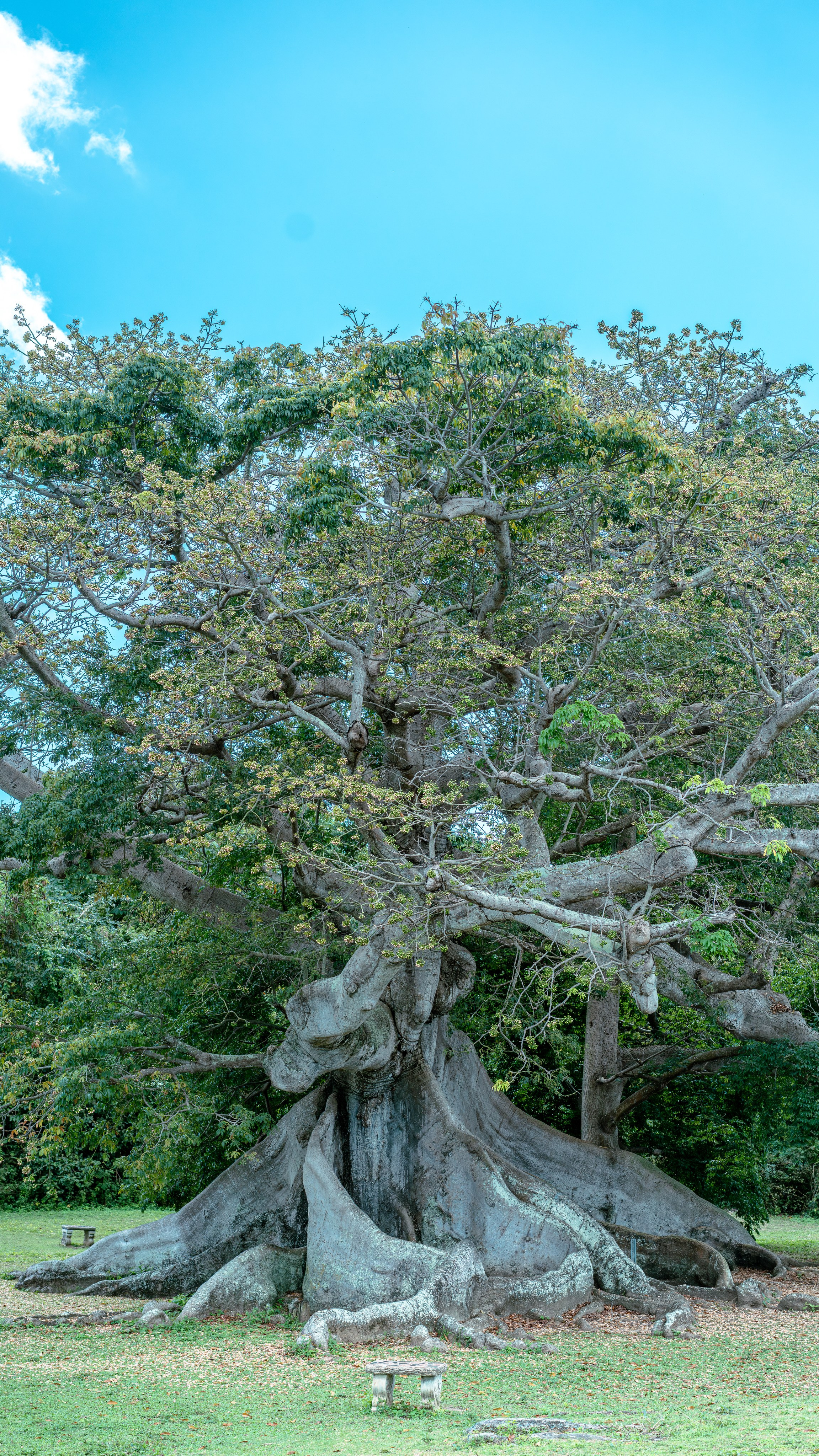 Natural Light. Manny Cruzado Photography
