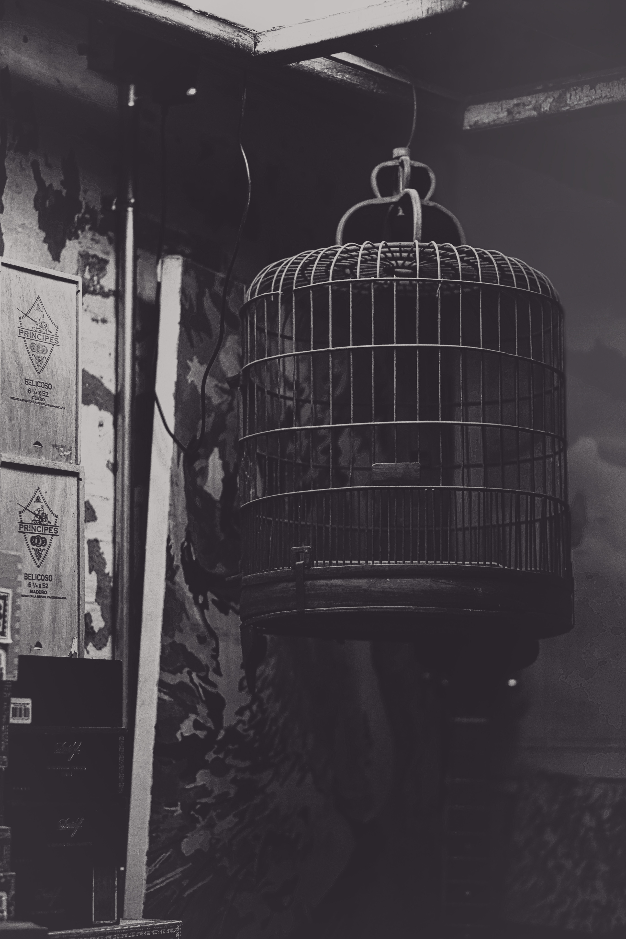 Cage for birds | Chinese streets in Chinatown | Jiangmen City | Street Photography | Jiangmen Street Photos | China Street Photography