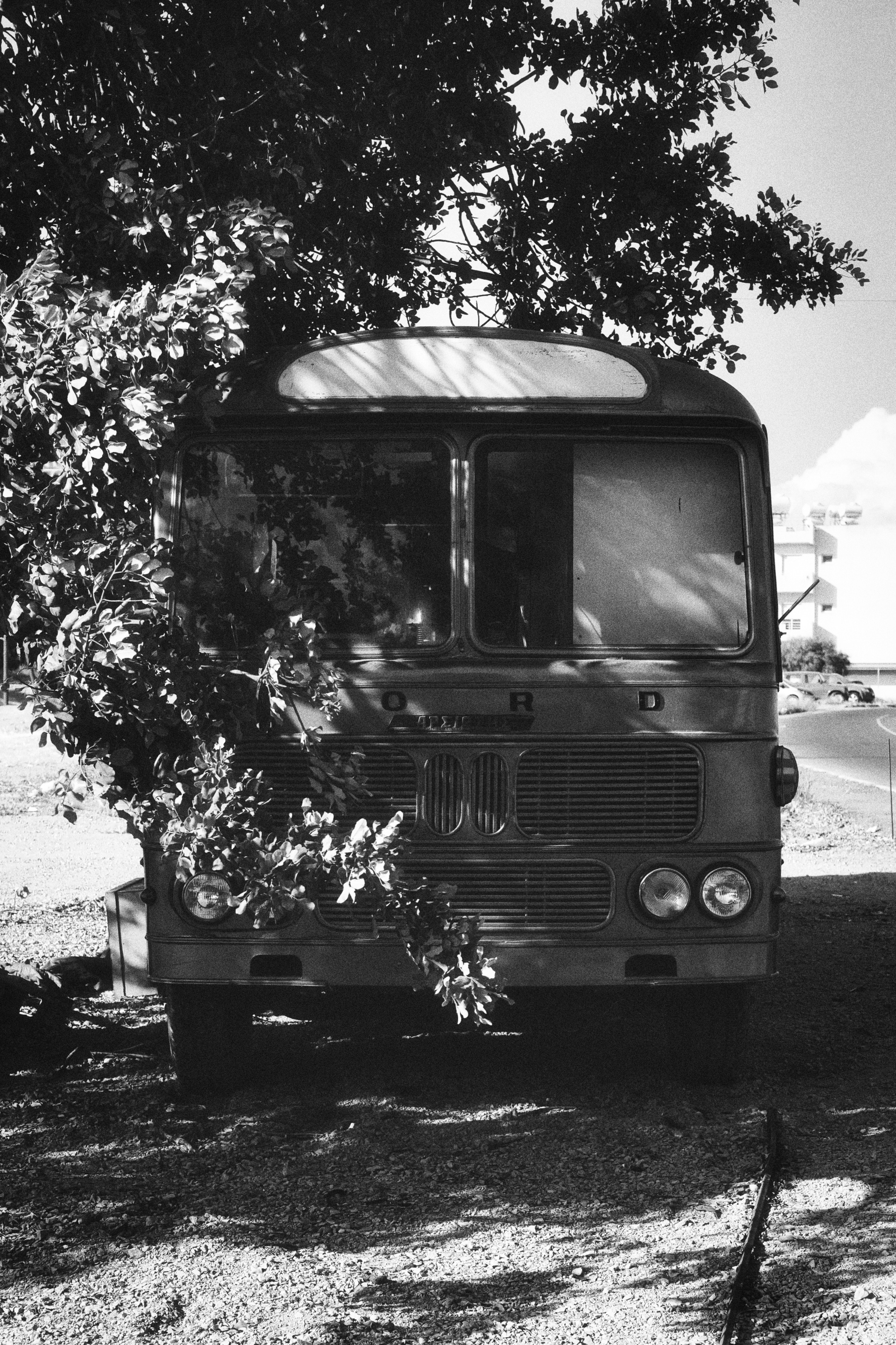 Old Bus in Black and White Photography | Limassol | Cyprus | Yuko Photography