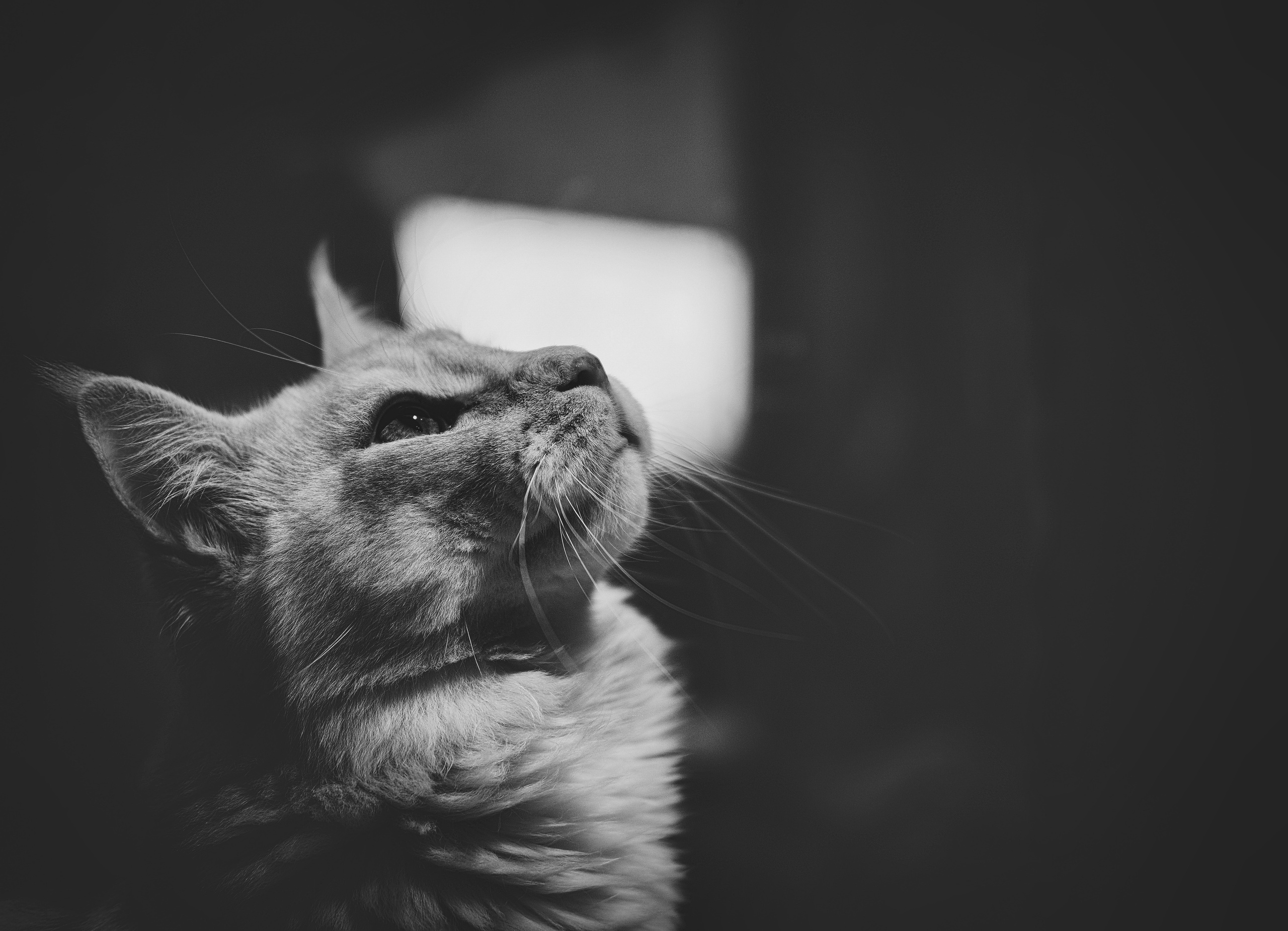 Look up | Foshan | China 