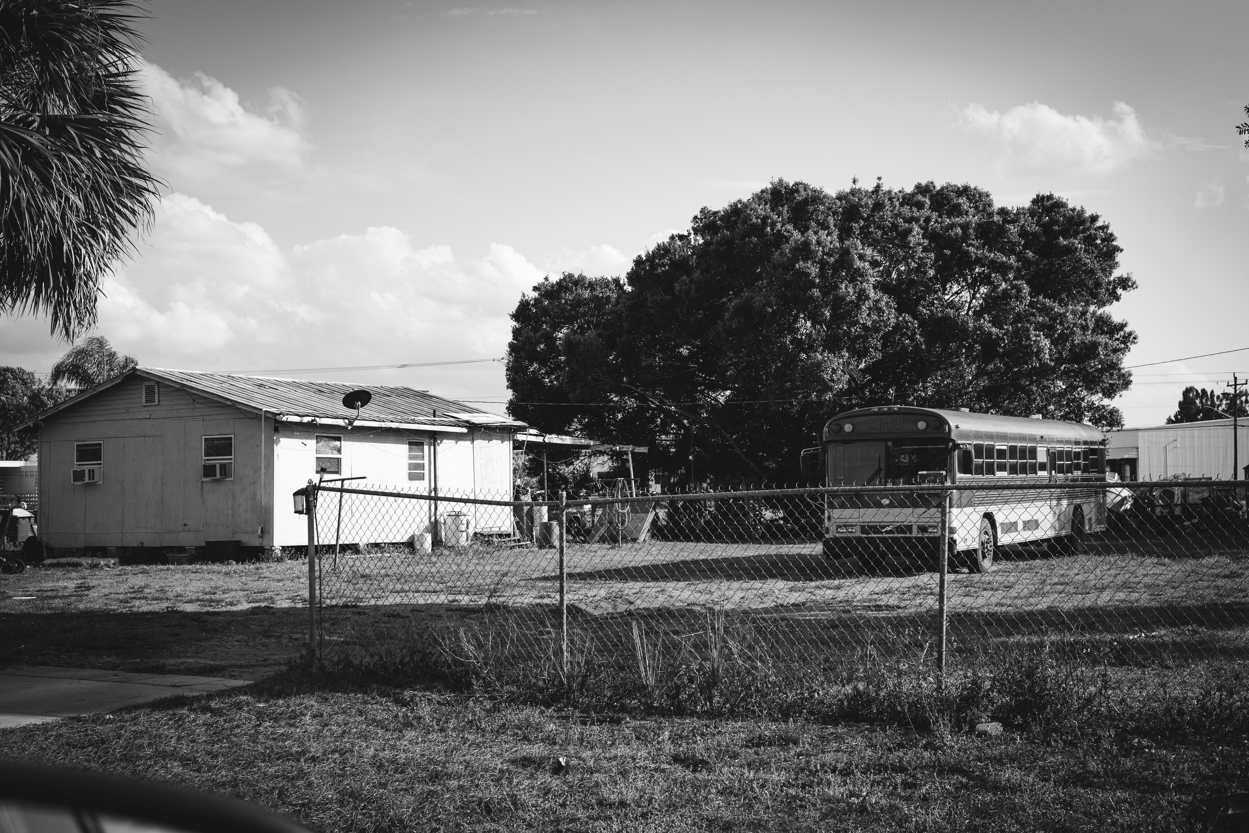 Americana — Immokolee. Out and About 239