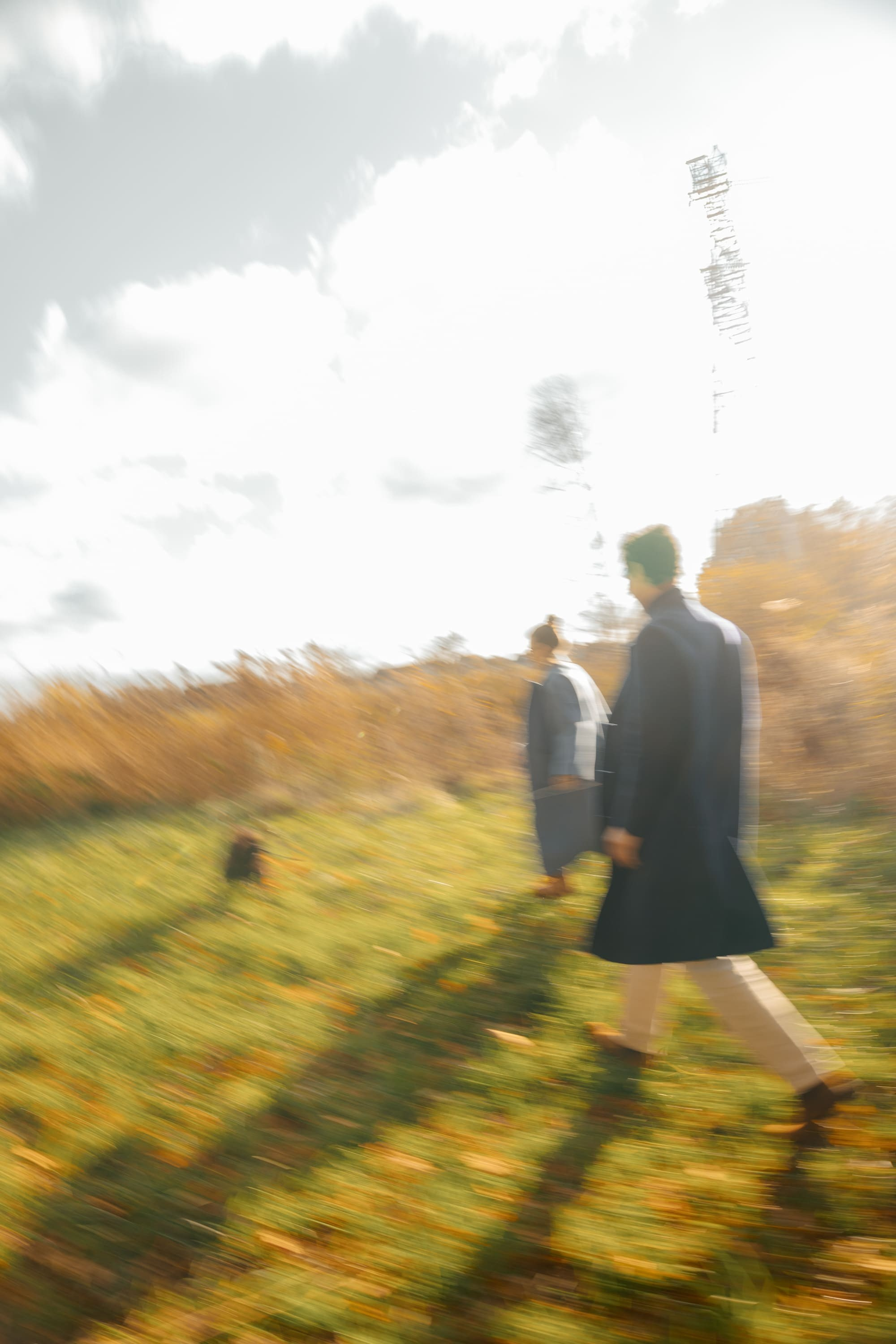 Pet Photoshoot in Spijkenisse | Rotterdam. Romantic & Soulful Photography by Natalia Olhova in Rotterdam