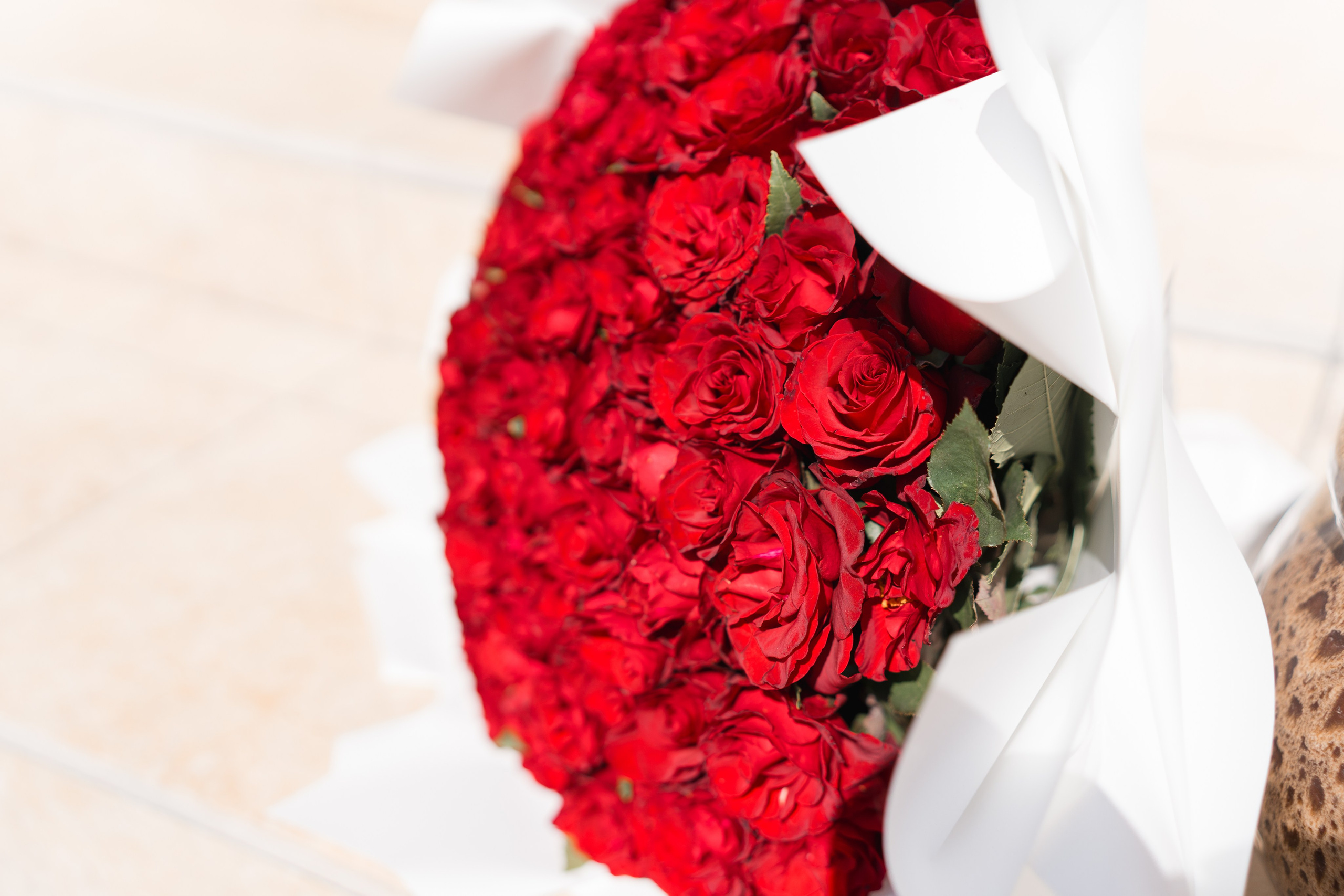 STEFAN & INA - CUNUNIE CIVILA. Fotograf Nuntă | Lucian Murgeanu - Fotograf Profesionist Evenimente