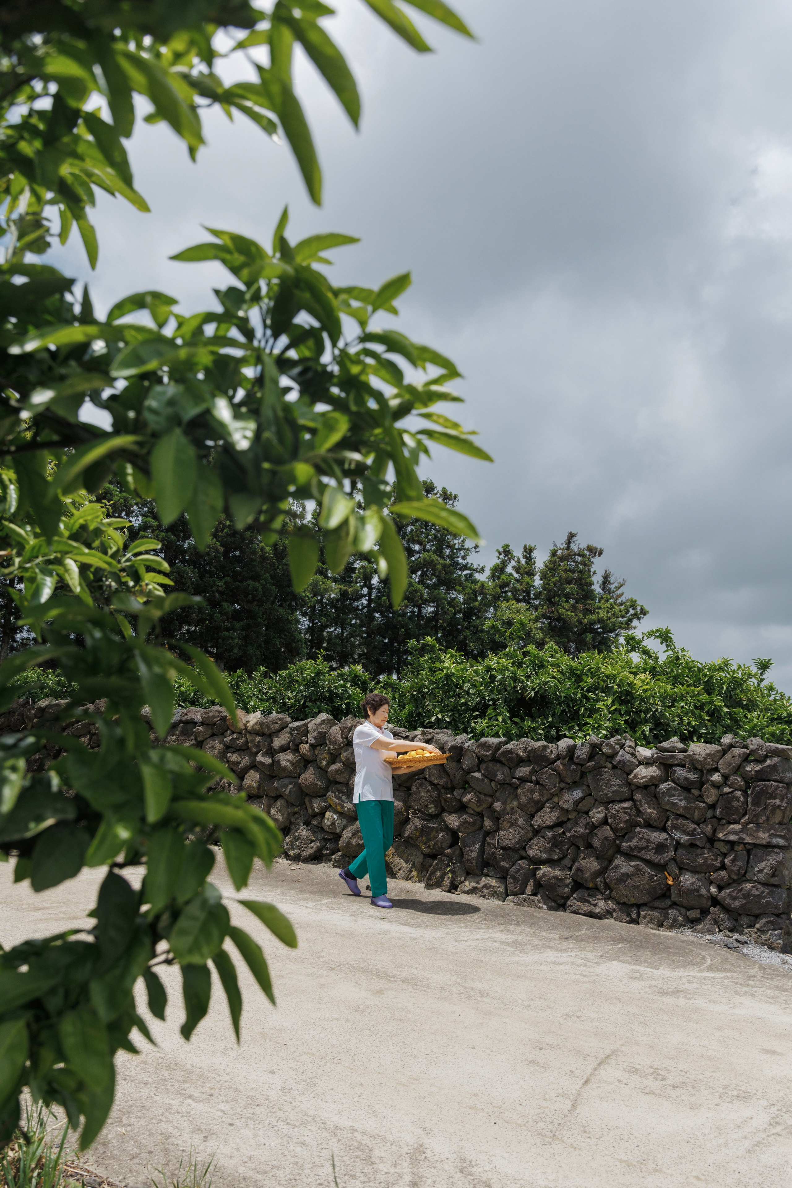 Jeju Island K-Beauty Tour (bohicare). Portrait photographer in South Korea Olga Lian