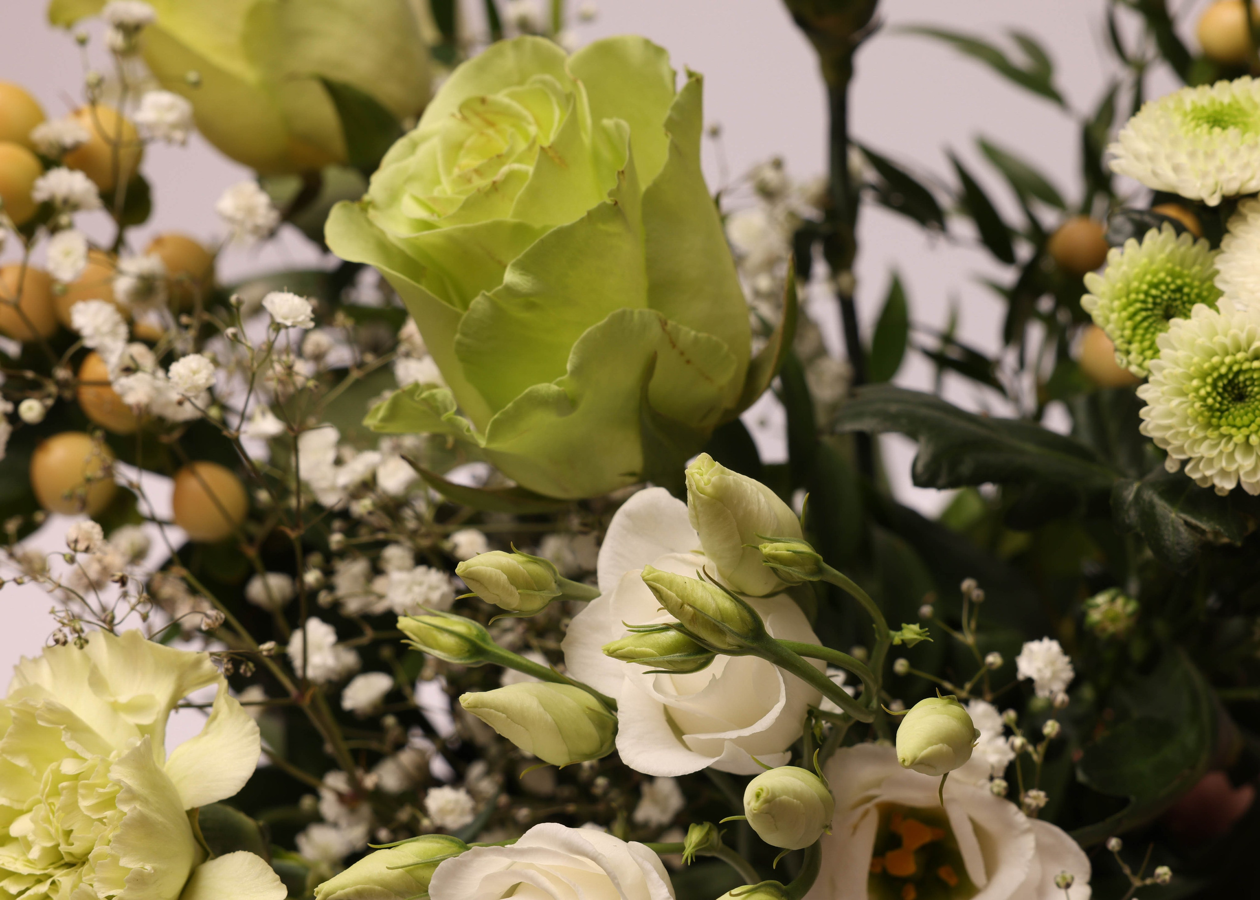 WEBSHOP BLOMSTERBUTIK. Fotograf Aarhus | Portrætfoto Århus | Flotte billeder