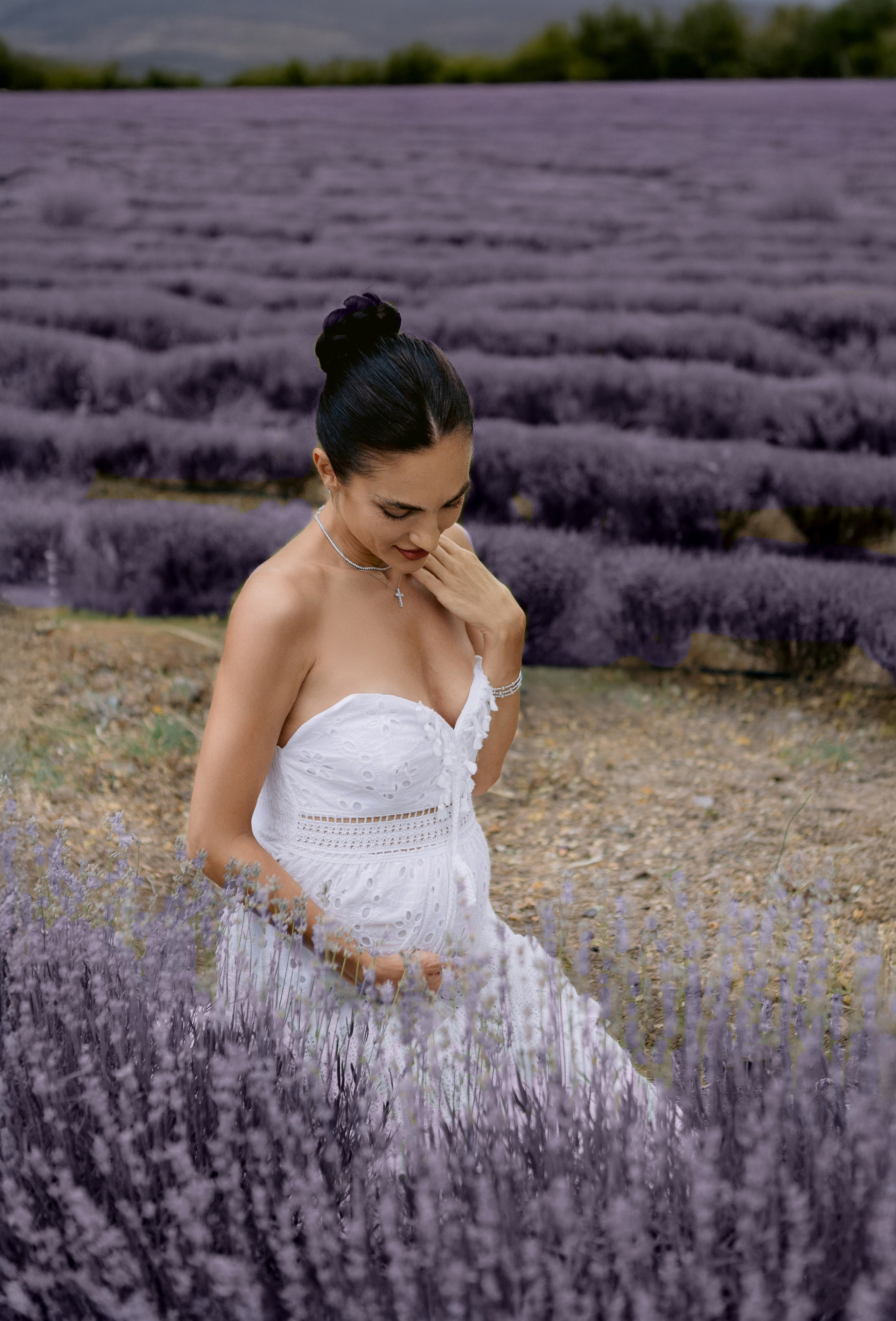 Лаванда. Фотограф в Анталии, Кемере и Белеке