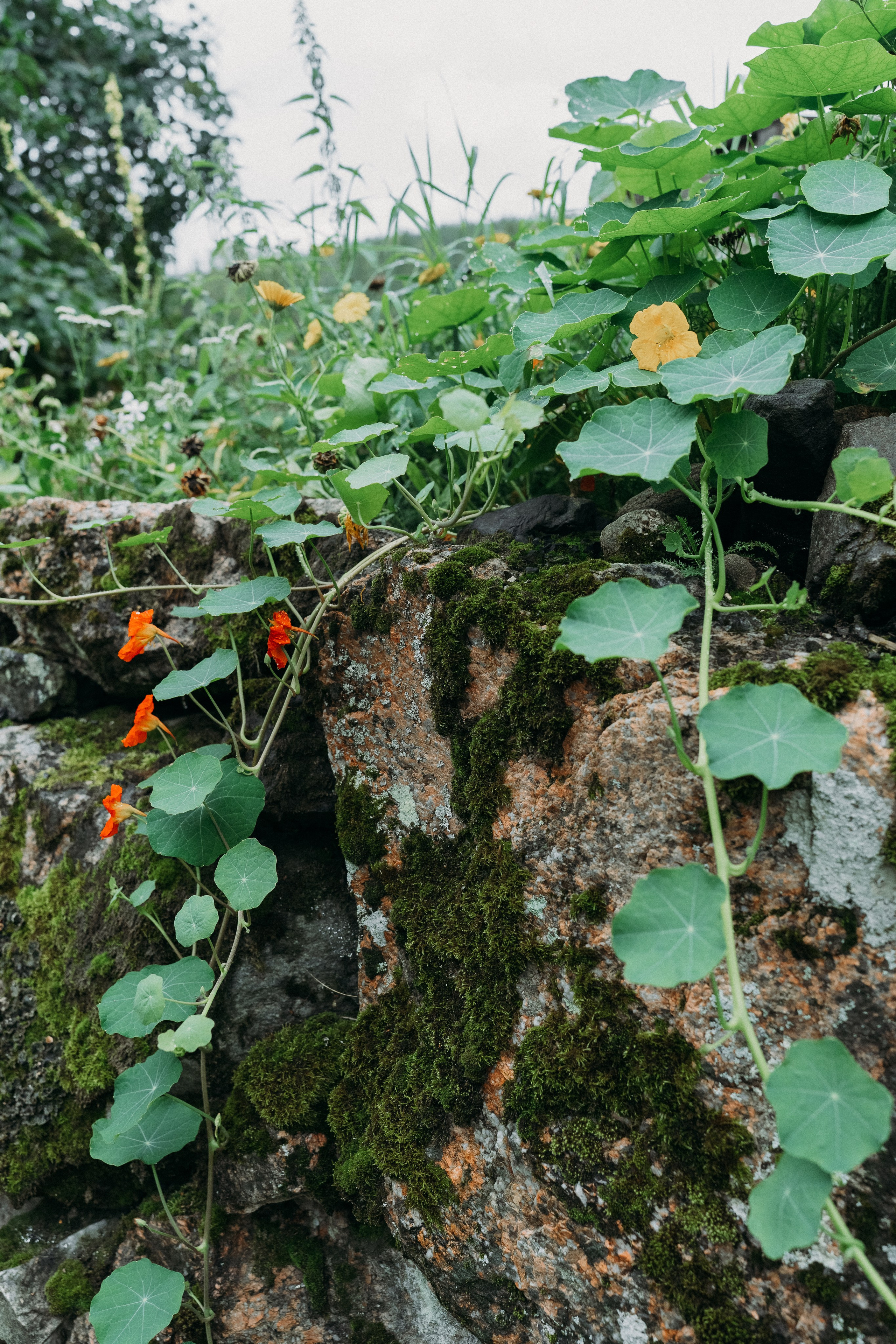 A&O. Wedding and potrait photographer in Helsinki Vickan O