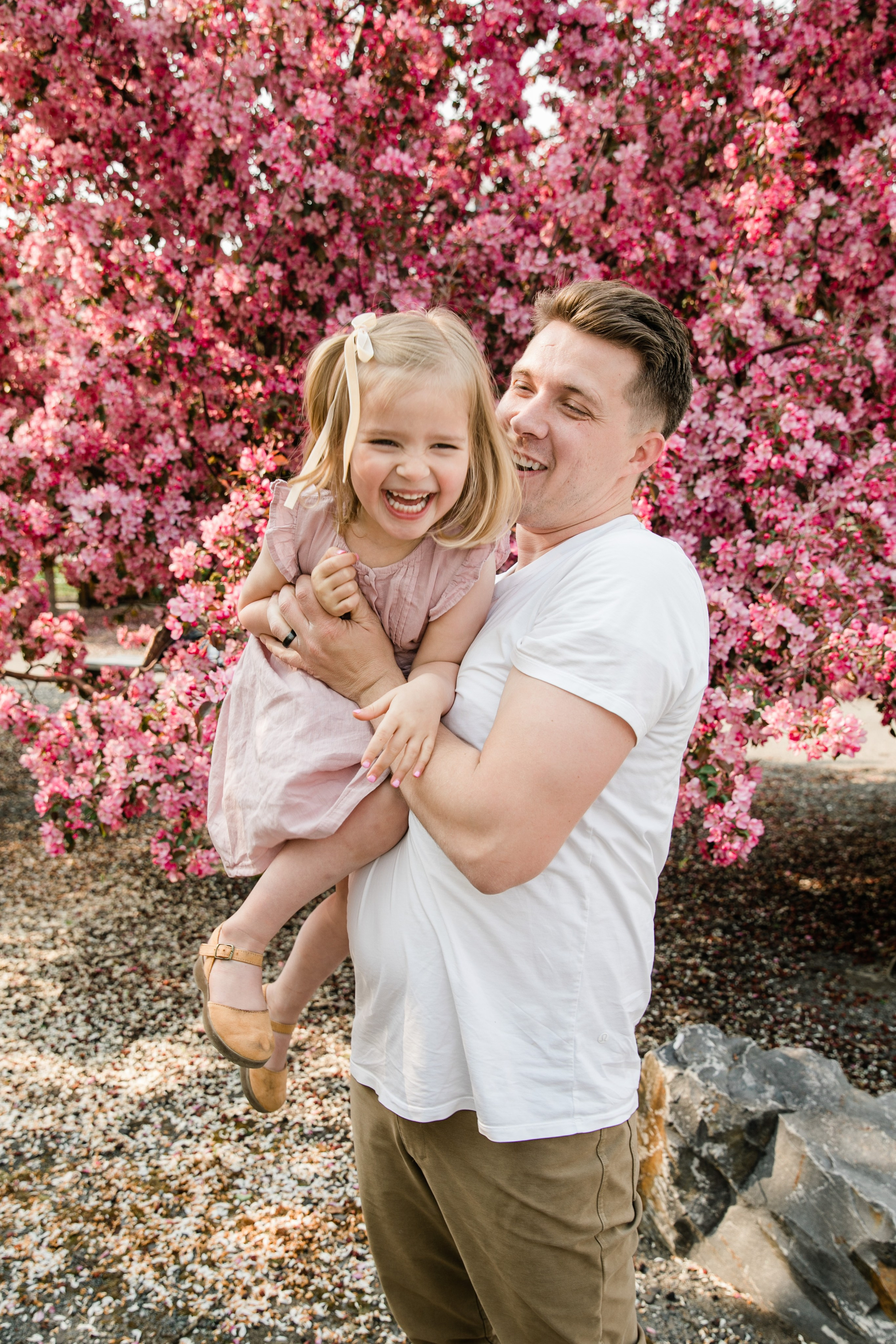 Pitchers Family Photos — Cherry Blossom. Fotografía accesible en Calgary