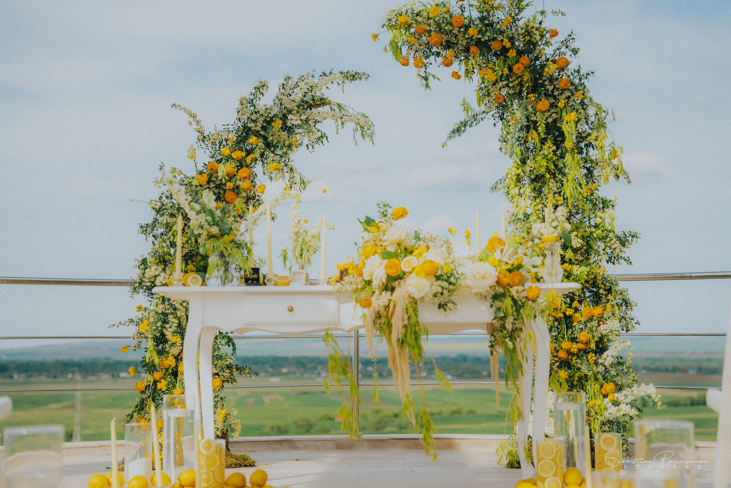 Love & Lemons. Sebastian Purusniuc Fotograf - Iasi