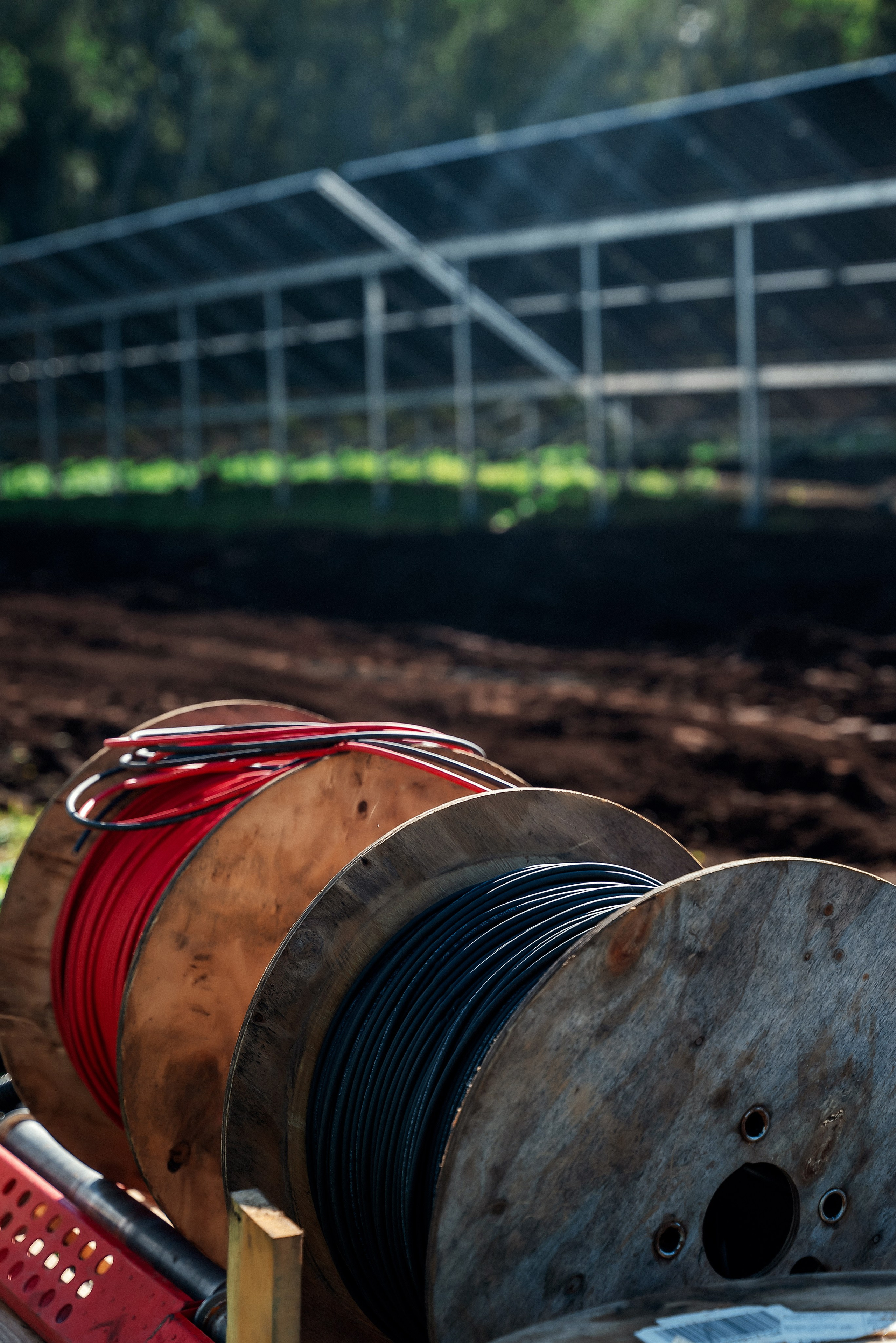 Парк солнечных панелей. Ваш фотограф в Латгалии — Александра Юхневича!