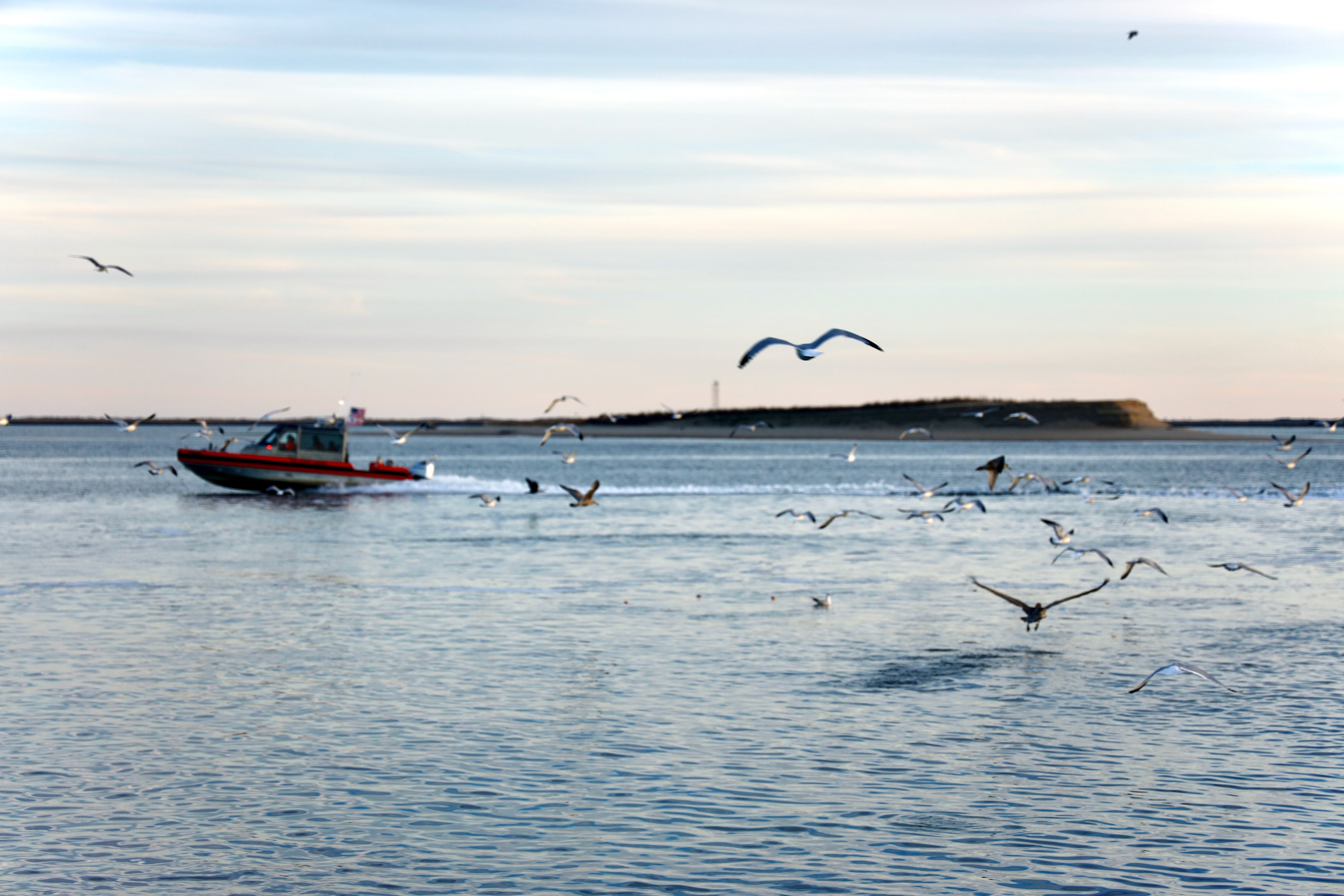 All-Day. Sonny Photos