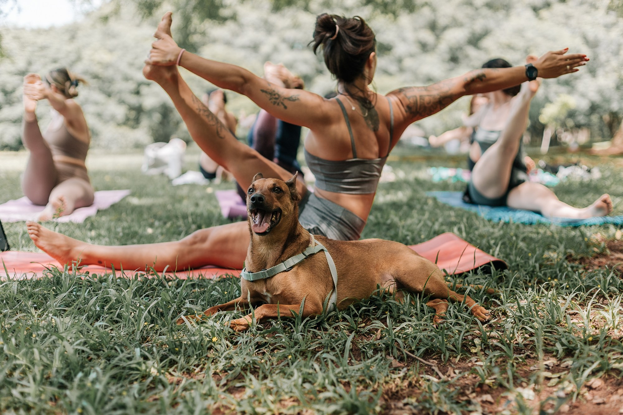 Yoga no Parque da Juventude. Mareh Audiovisual