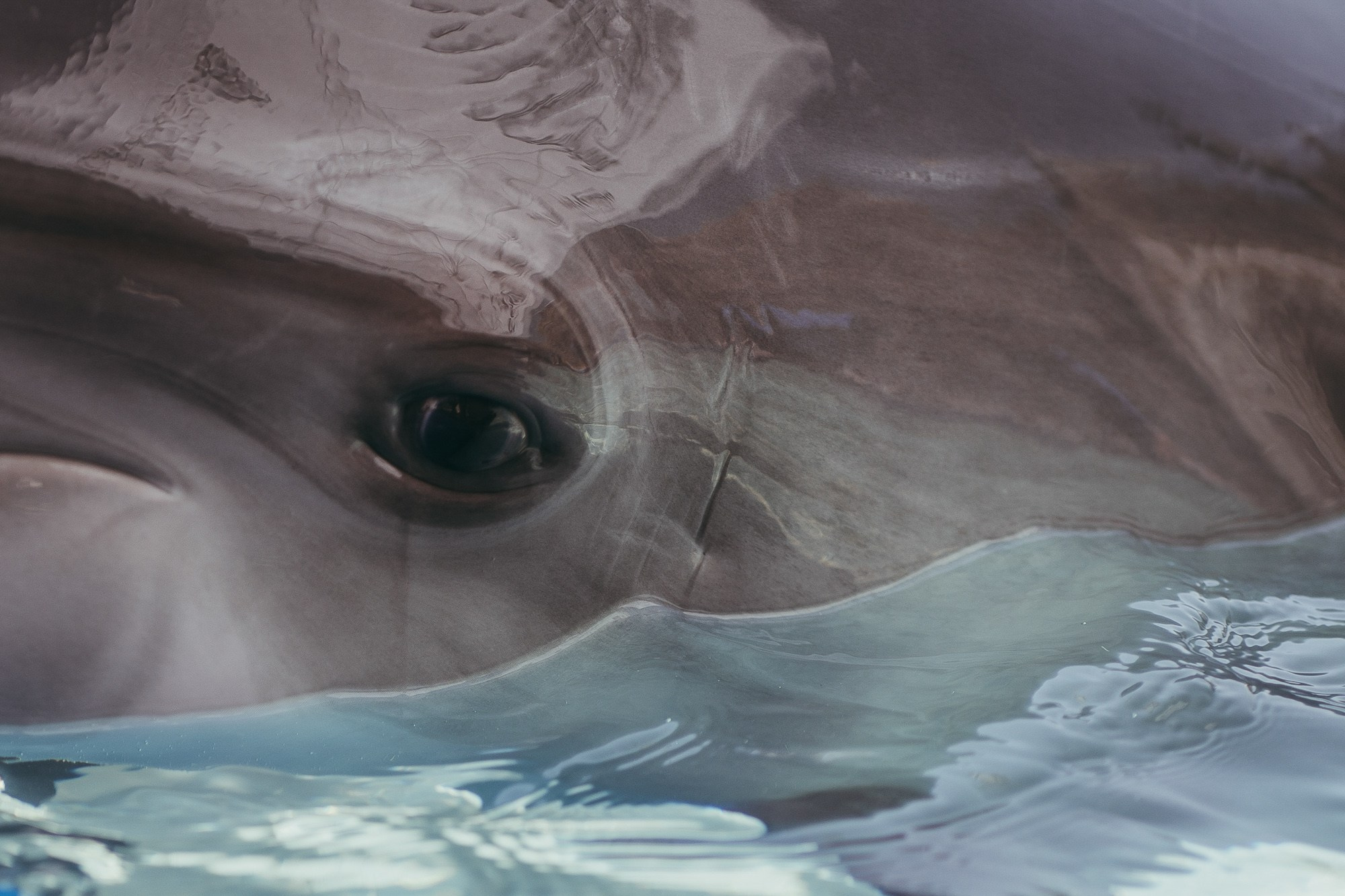 200 kilohertz. Stanislava Novgorodtseva — Photographer | Visual Artist | Educator