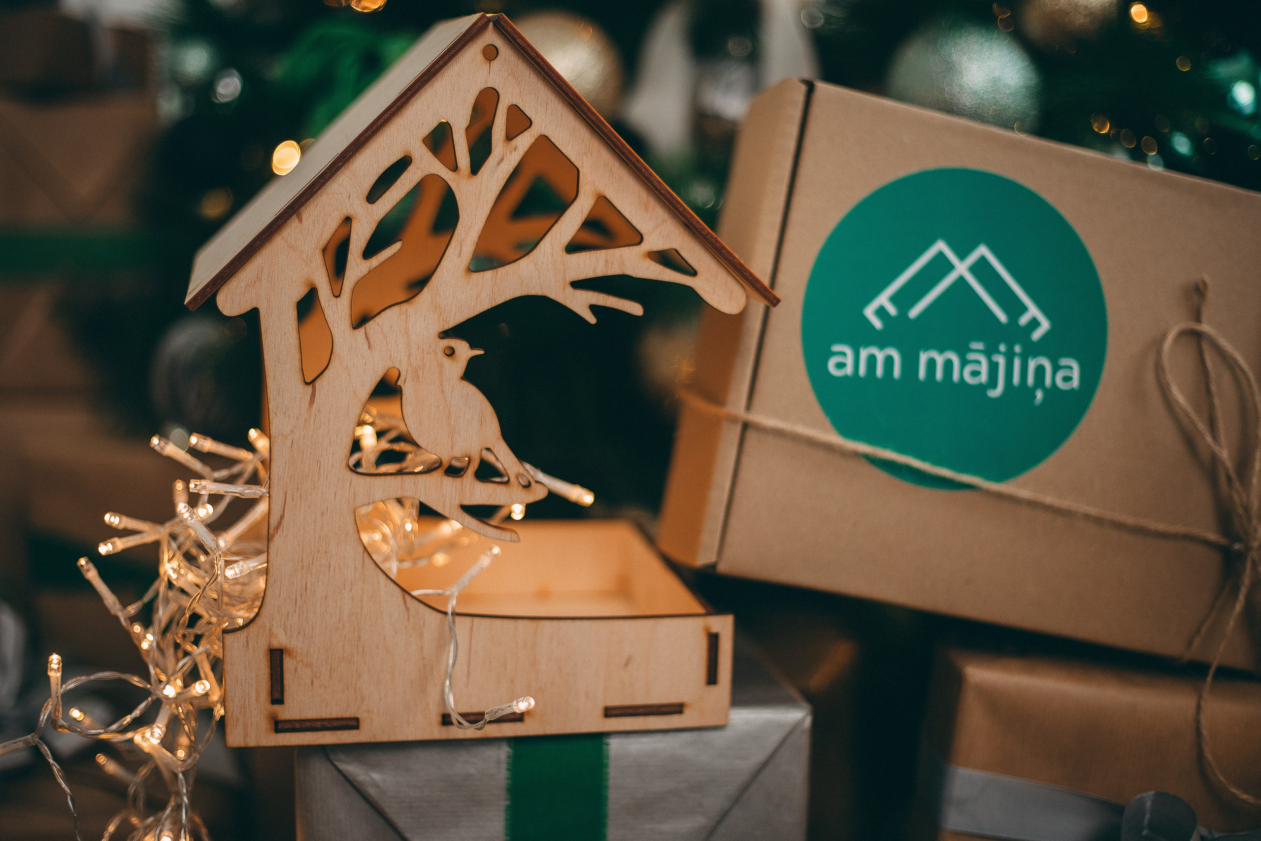 Ziemassvētku laiks studijā. Fotogrāfs Rīgā — Katerina Gordik