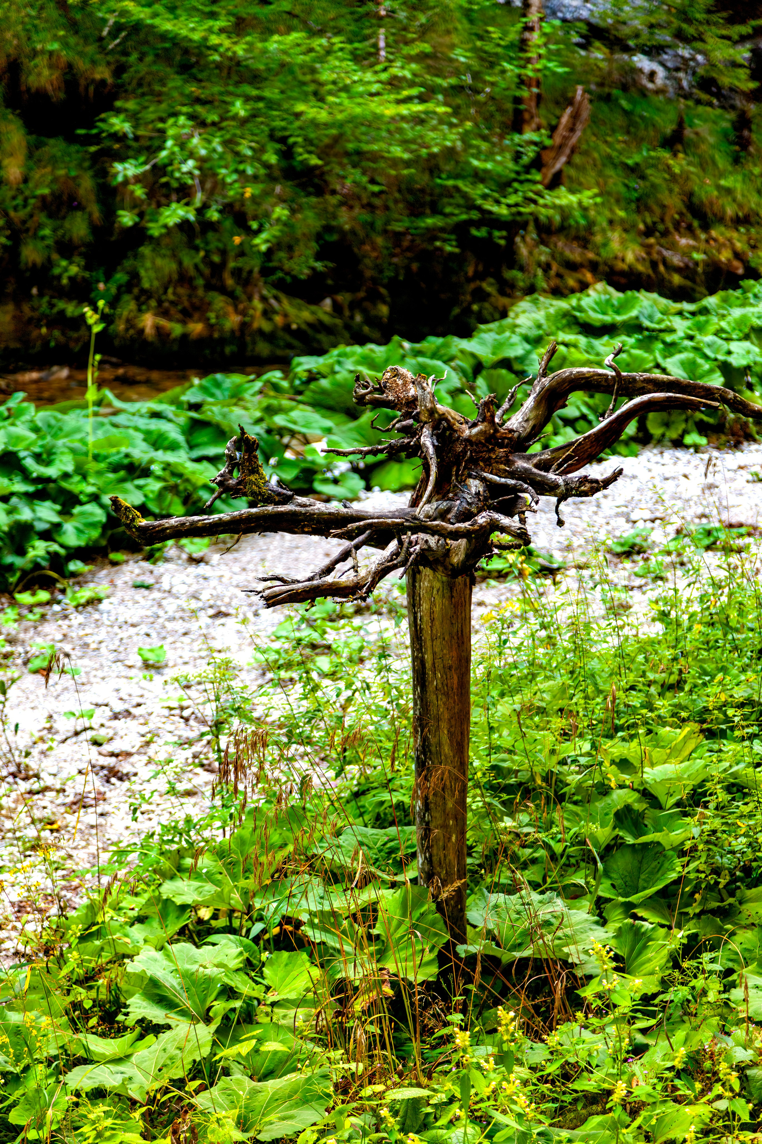 194.Mendlingtal.Austria.19.8.2025. Путешествия в формате 360......