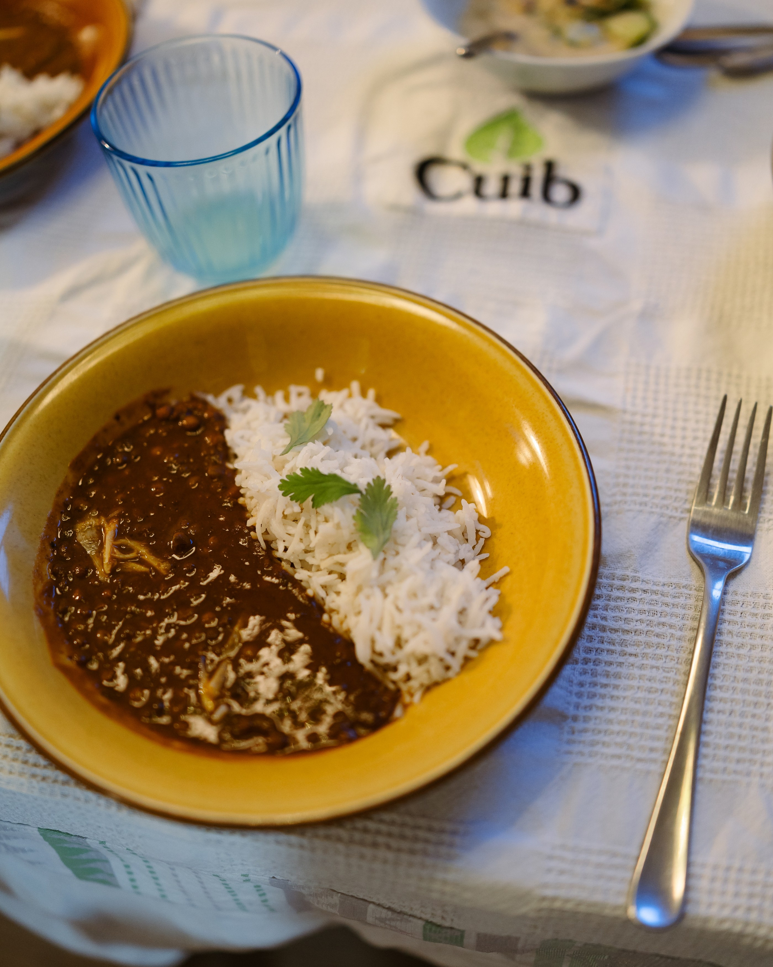 Indus at CUIB. Marius Ciocan