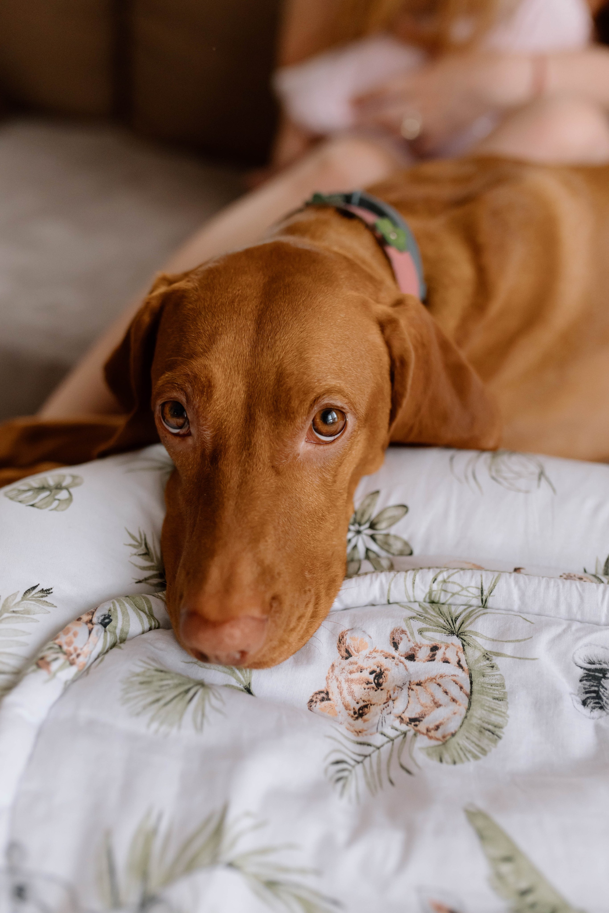 Sarah Ilaria — Newborn. Main