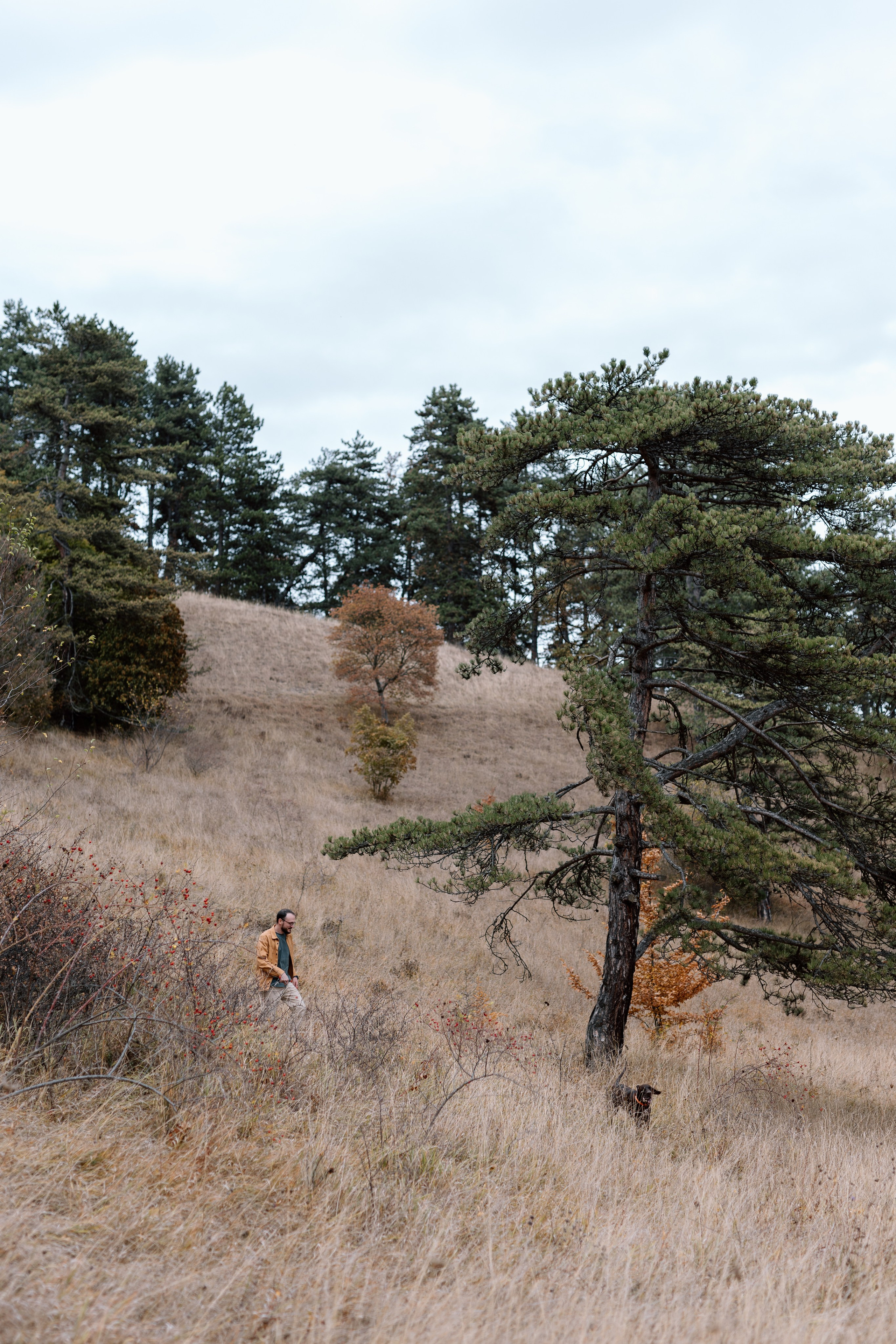 Iosana & Grisha. Main