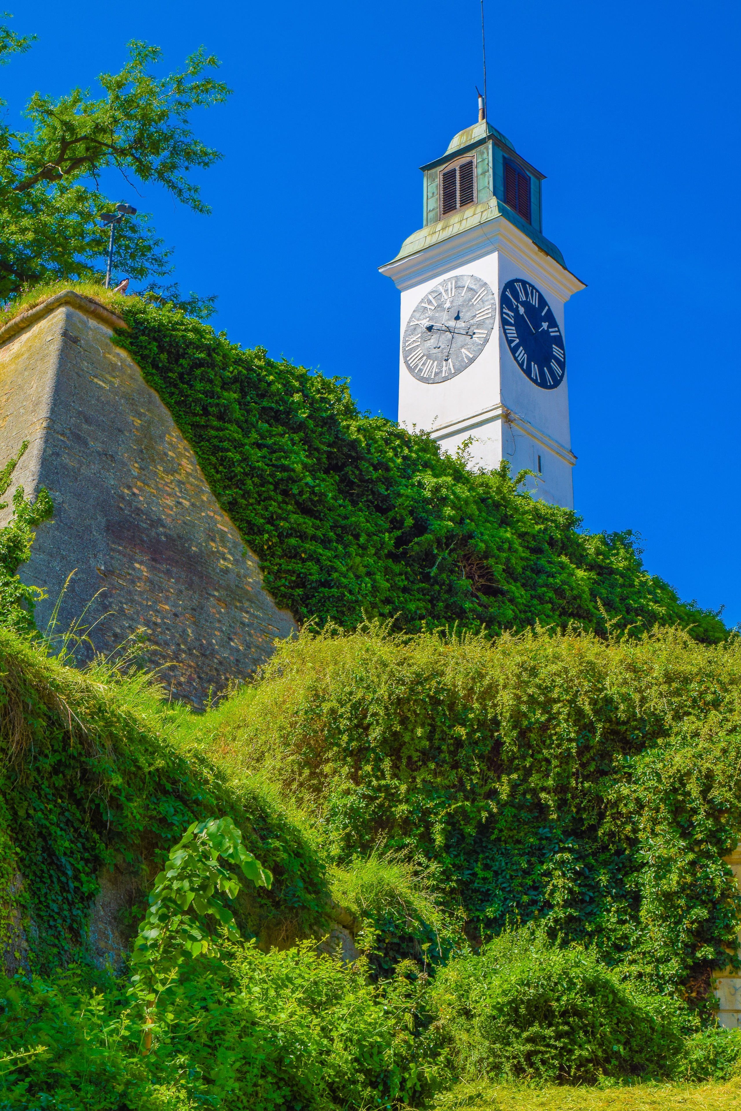 Петроварадин - галерија на продају. Викторија Федосеенко, фотограф у Србији