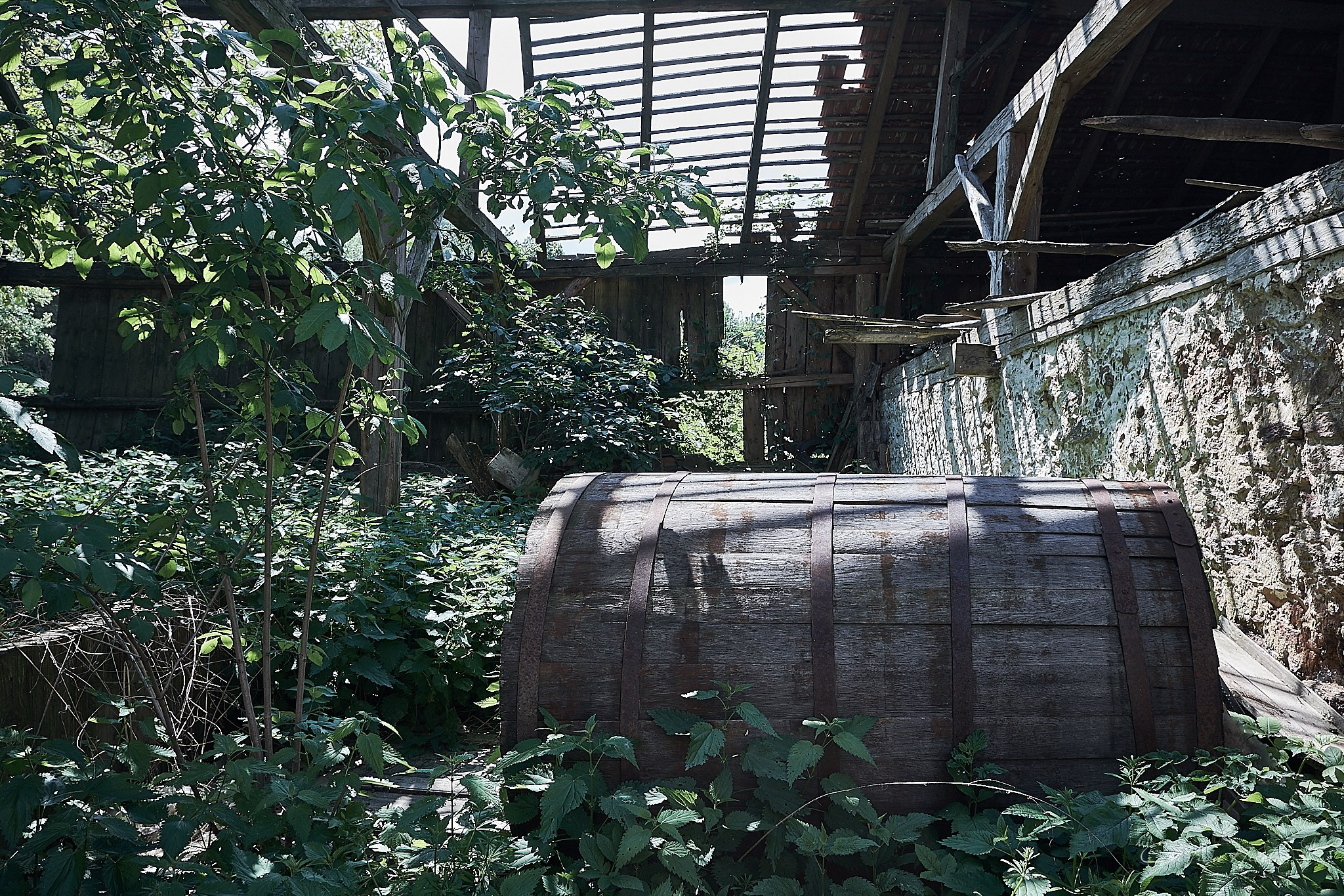 Lindenfeld, satul părăsit, jud. Caraș-Severin. Pagina principală