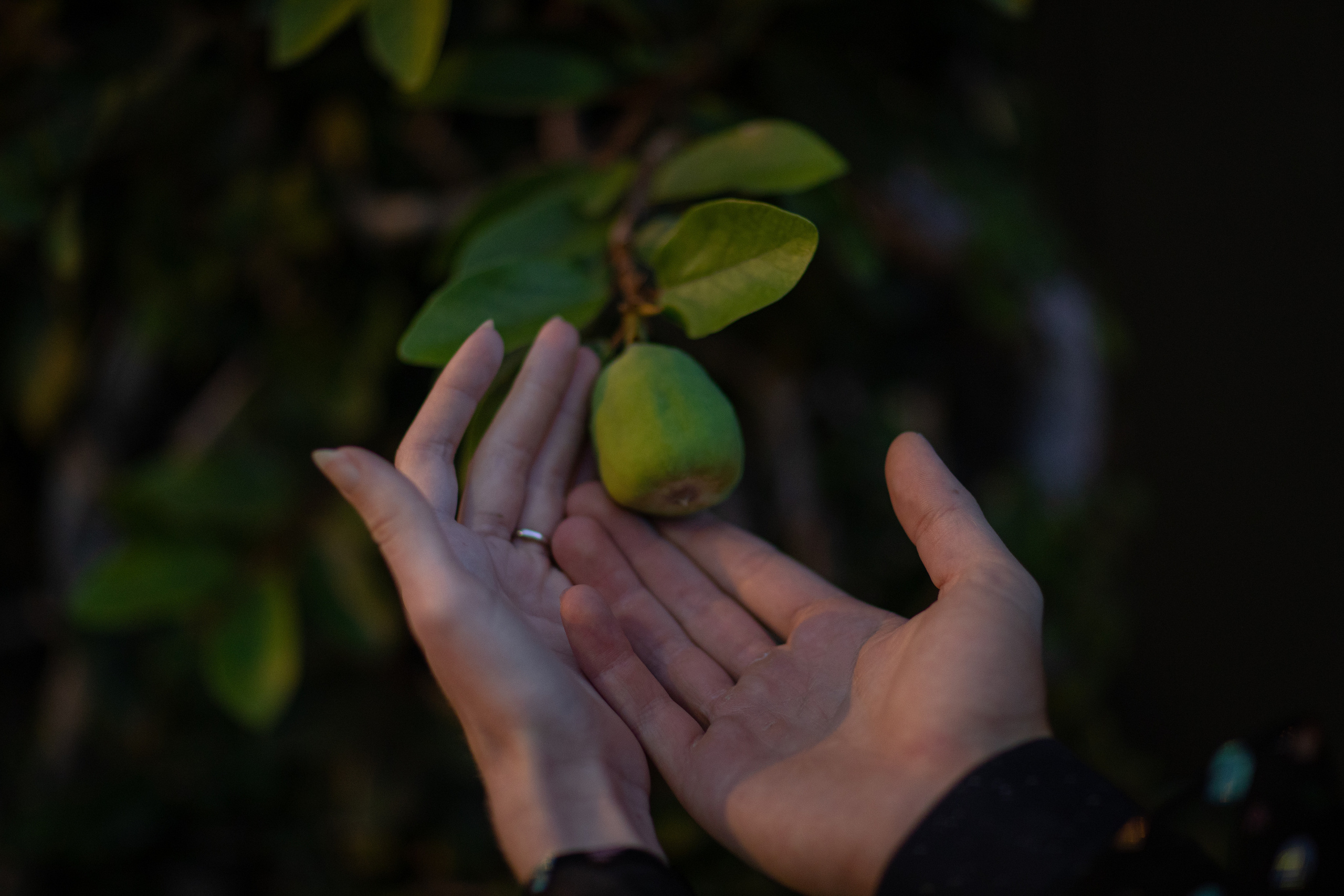 Romance. Fine Art Photography by Ksenia Mirnaya