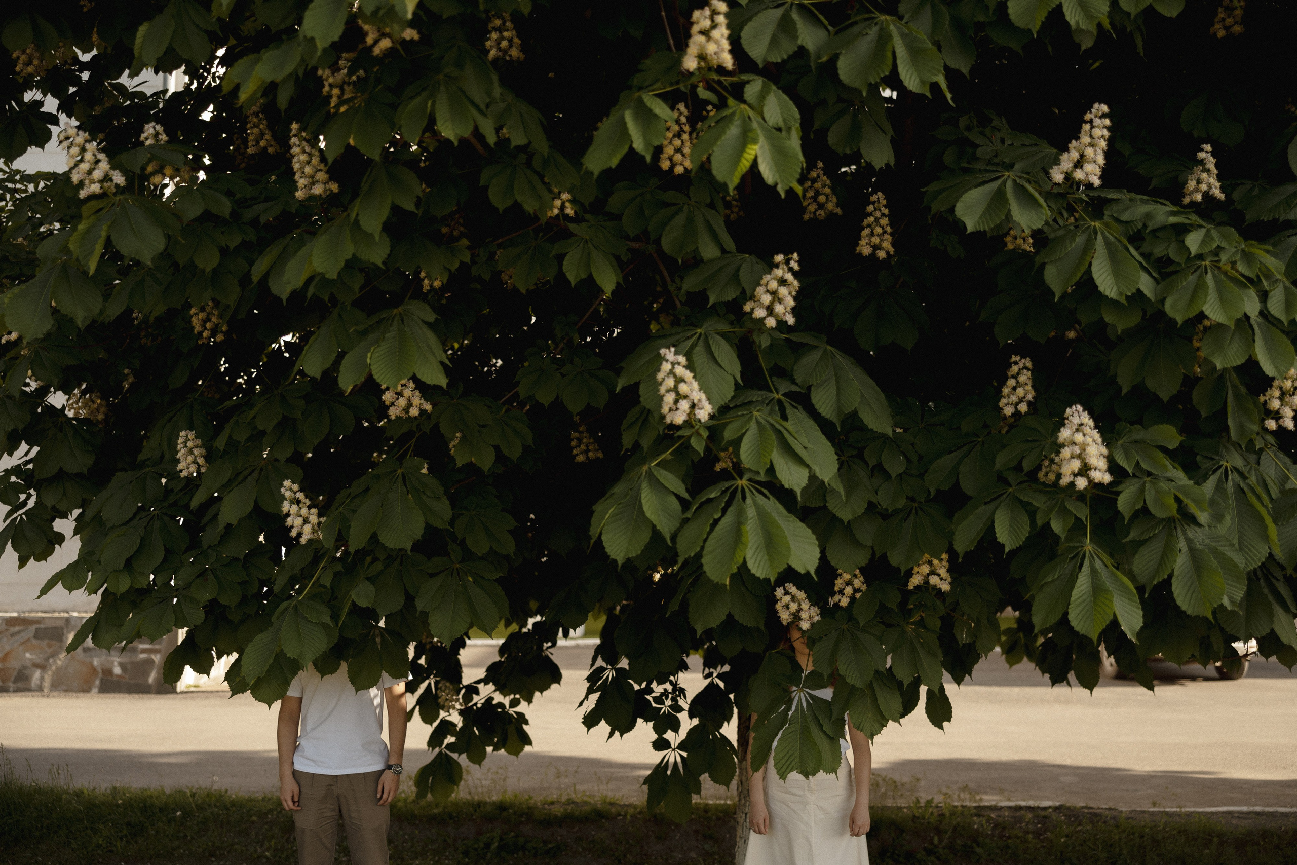 Медер и Айжан. Азимжан Нуритдинходжаев — свадебный фотограф