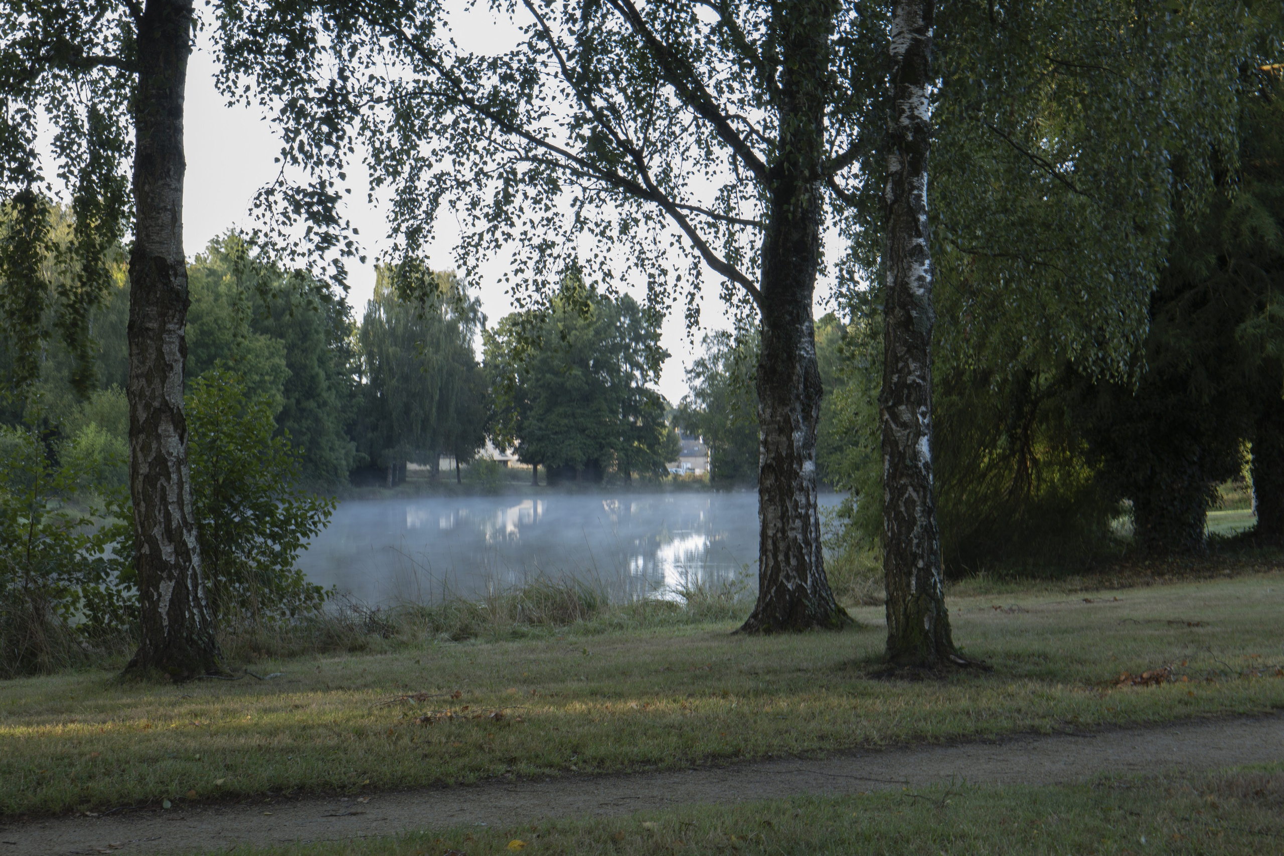 Paysages. Portrais créatifs de familles et individuels, Ile et Vilaine, France