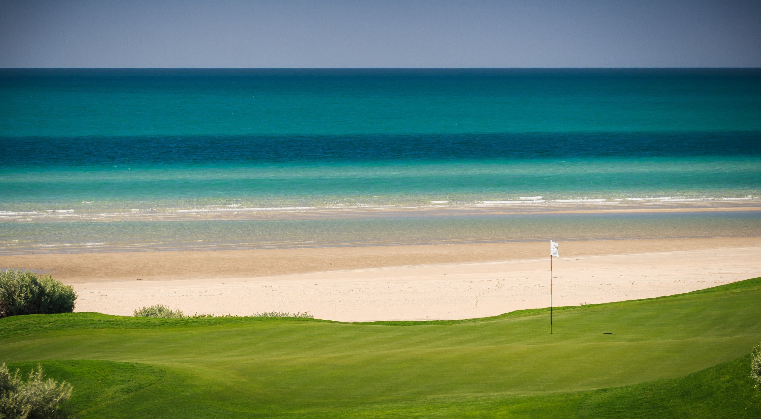 Web. Fotógrafo Profesional en Guadalajara