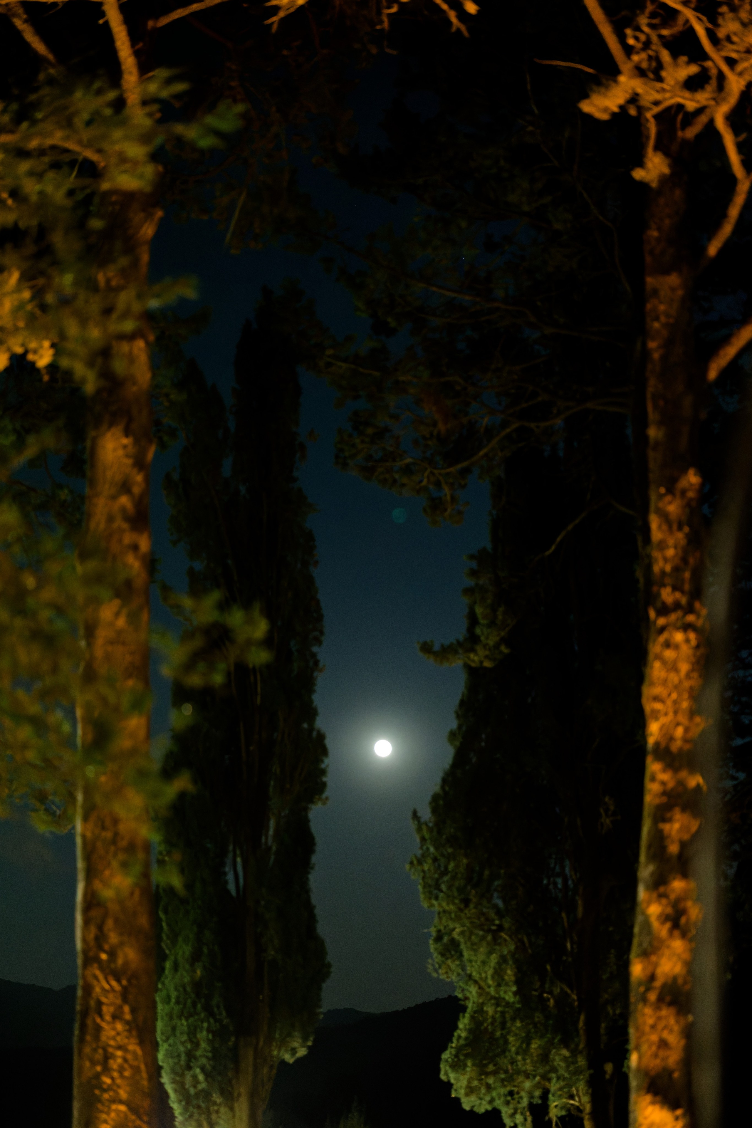 Wedding at Borgo Bastia Creti, Umbria