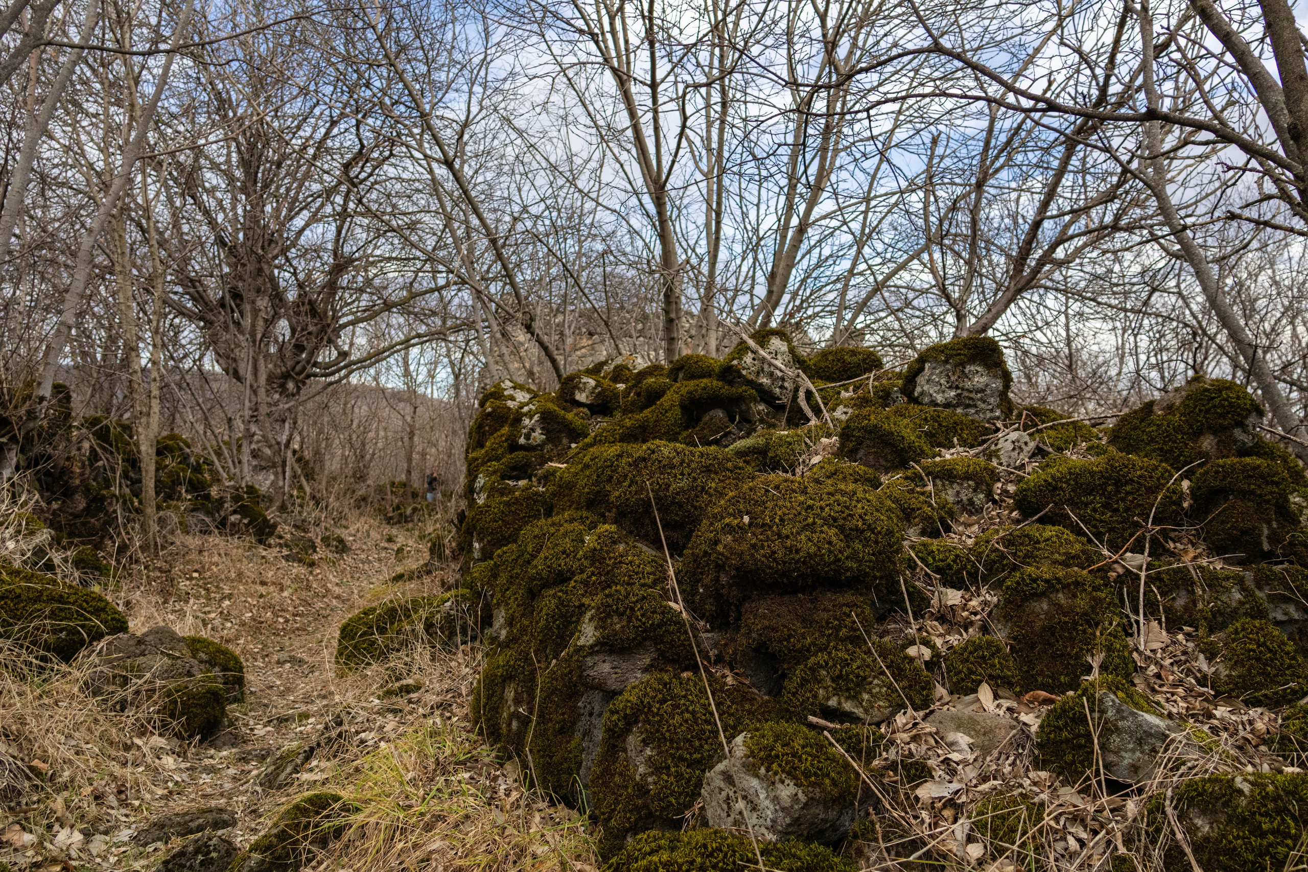 სამშვილდე. FramefreeMan