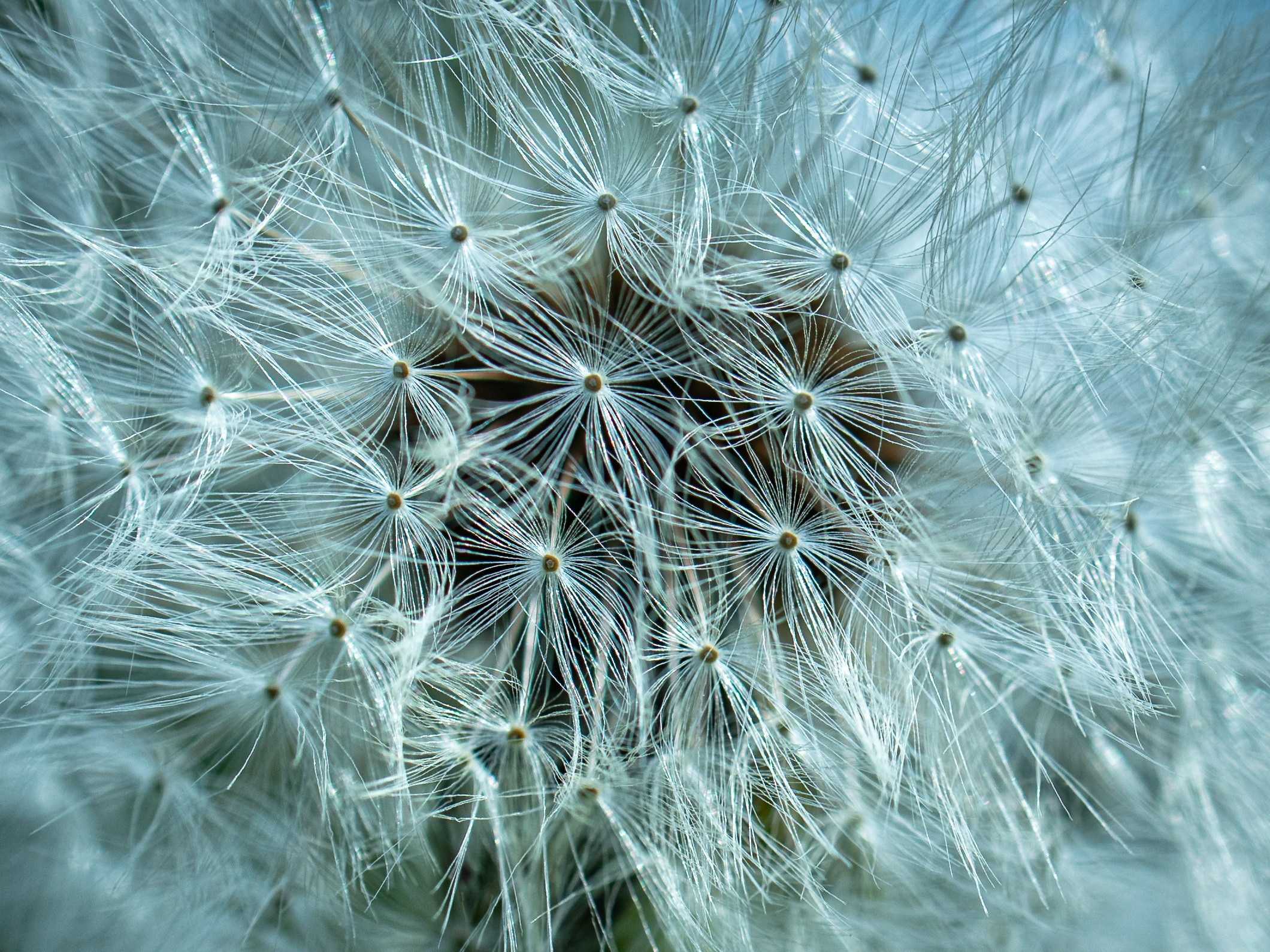 Portret bebeluș la botez realizat de Mitroi Iulian