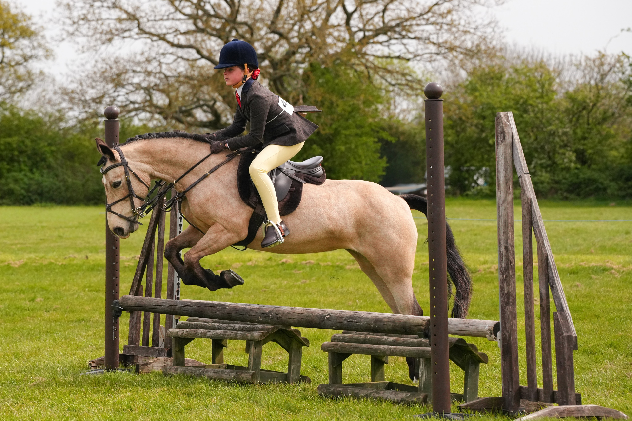 Show Jumping Photography in Leicestershire | Equine Action Shots by El. Leicestershire Equine Photography by El | Authentic Equine Portraits & Events