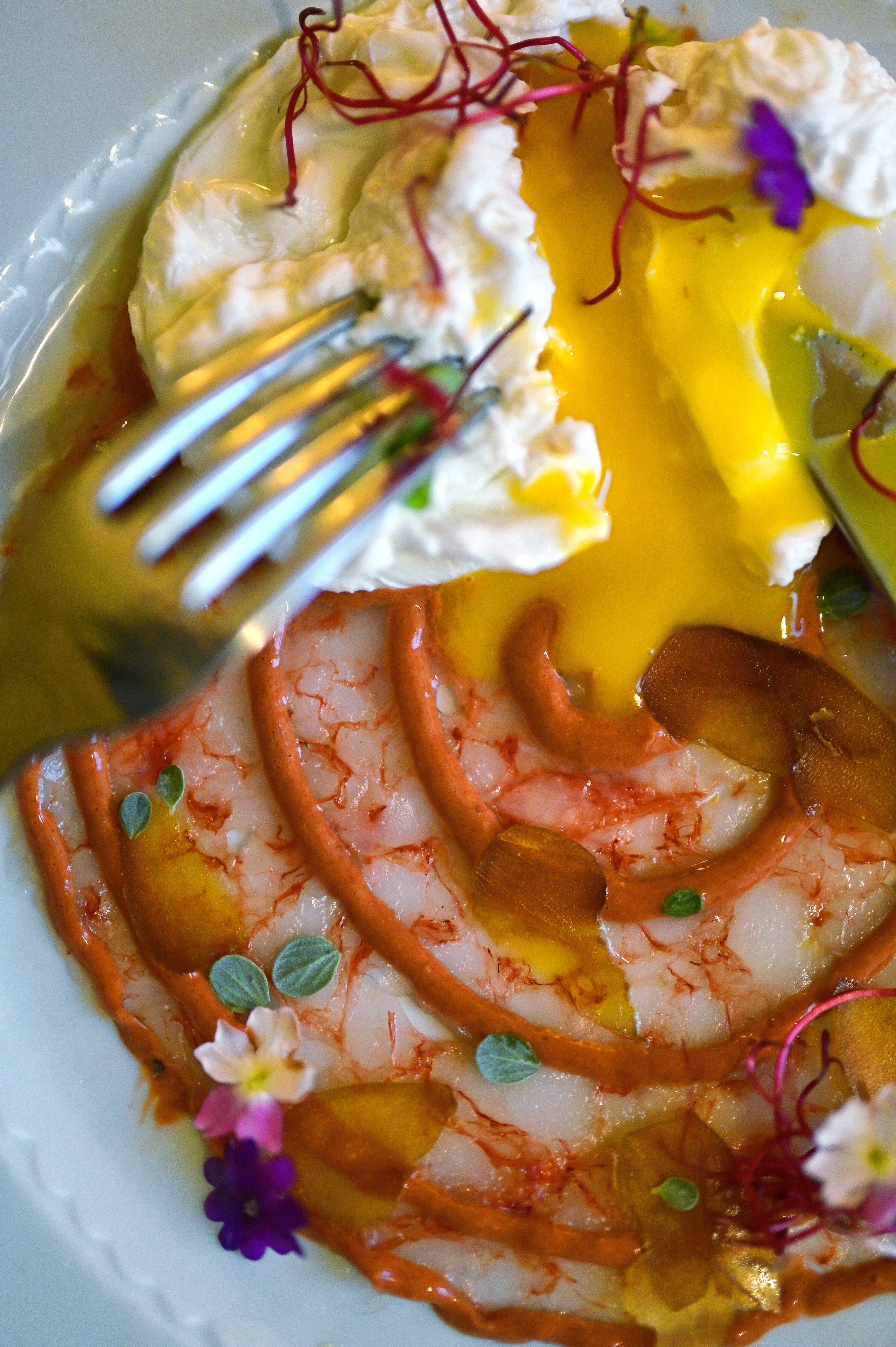 Restaurant AMA DIALOGHI di GUSTO