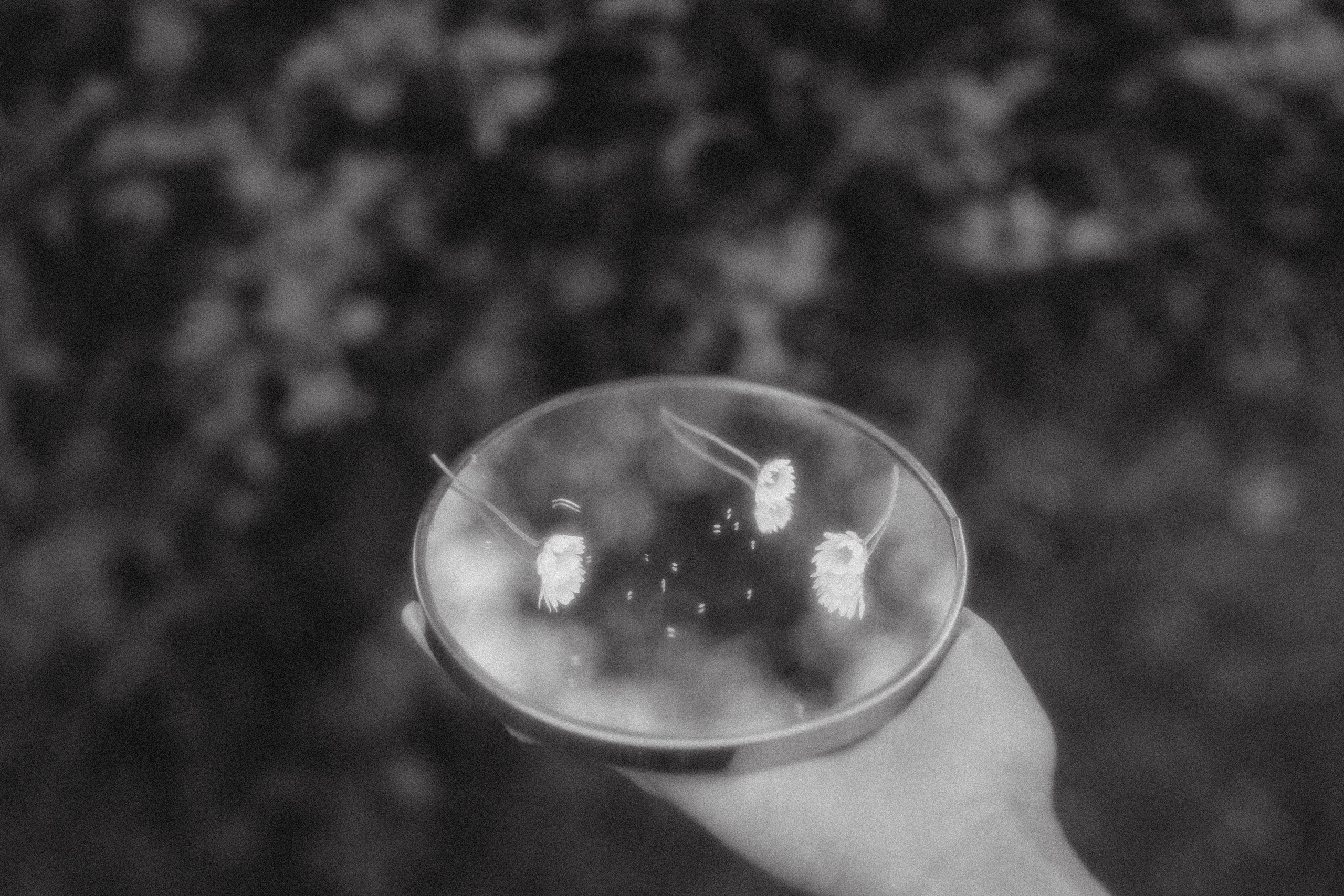 Катя с лилией. Фотограф Мила Ромашкина