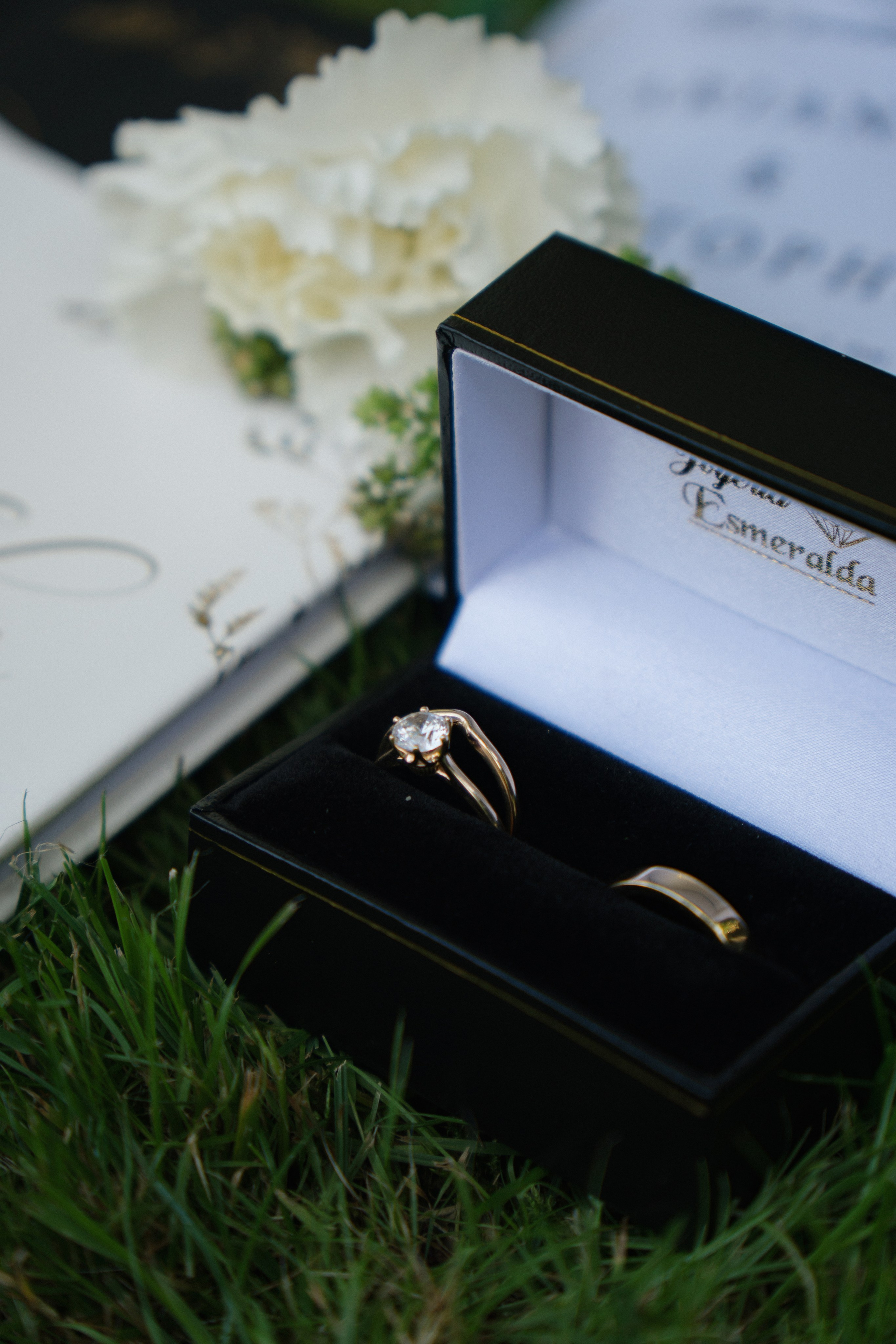 Arianna and Cristopher | Intimate Wedding. Photographer in Washington Sophia D
