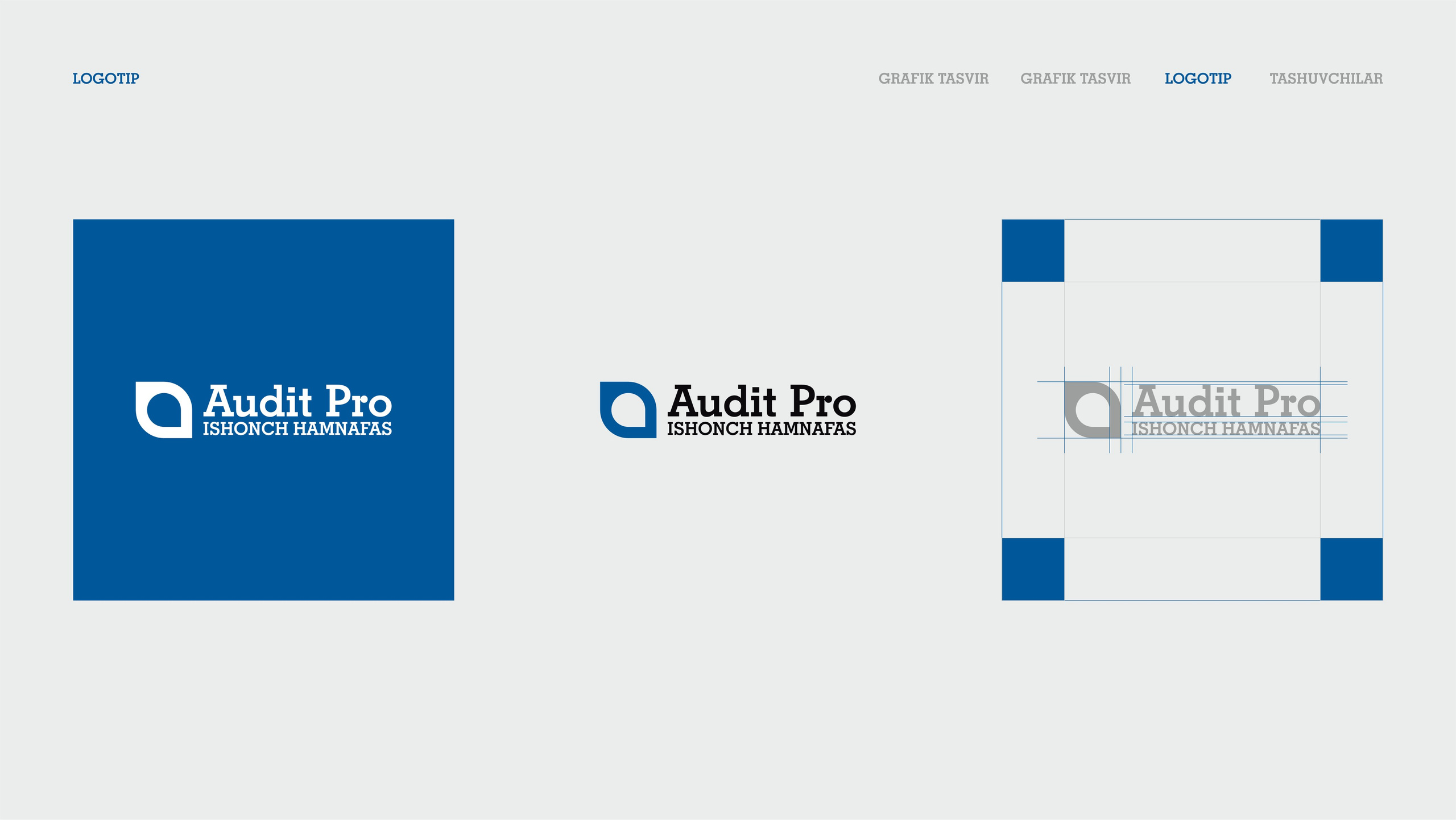 Audit Pro - Logotip. Dirov — Hayot Khodirov