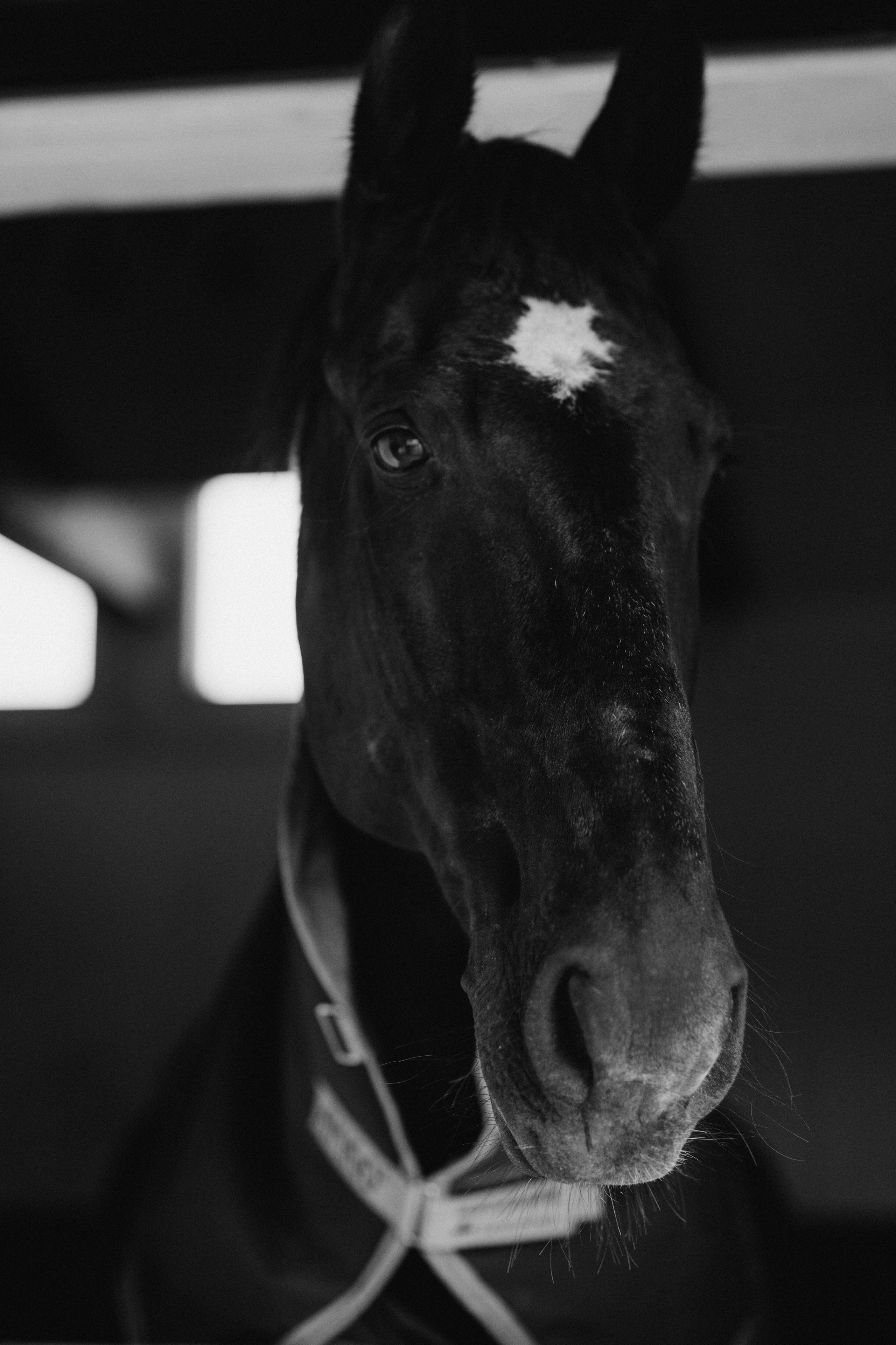 Susanna Hyypiä. Wedding and portrait photographer in Helsinki Vickan O