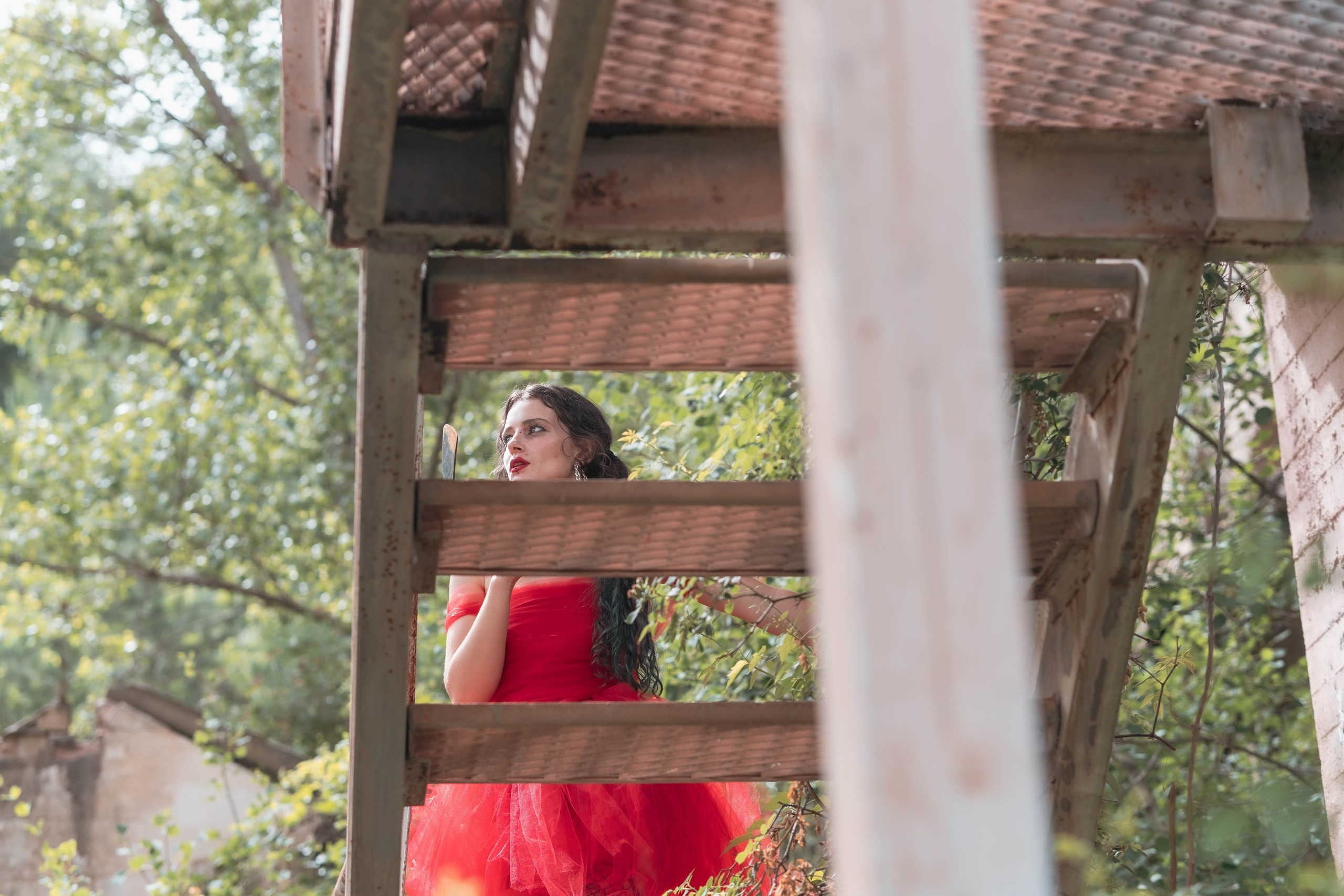 Dani. Alba del Norte Studio