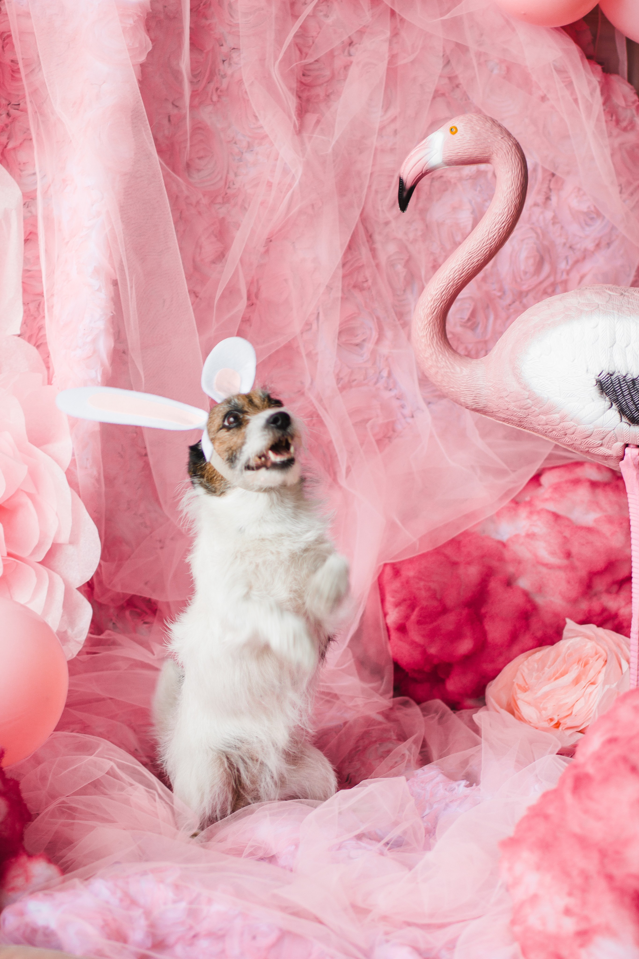 OH LA LA decoration studio. Photographer Vladmir Gladkov