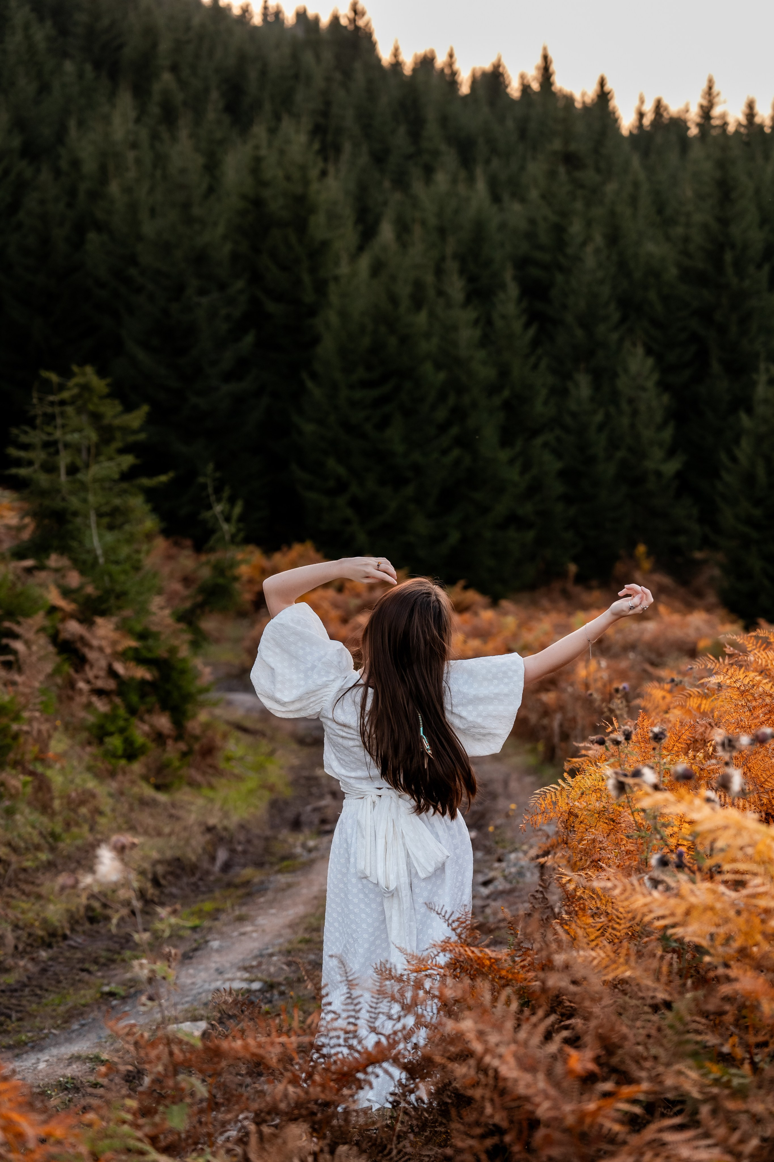 Golden Autumn. Ekaterina Verbitskaya. Photography