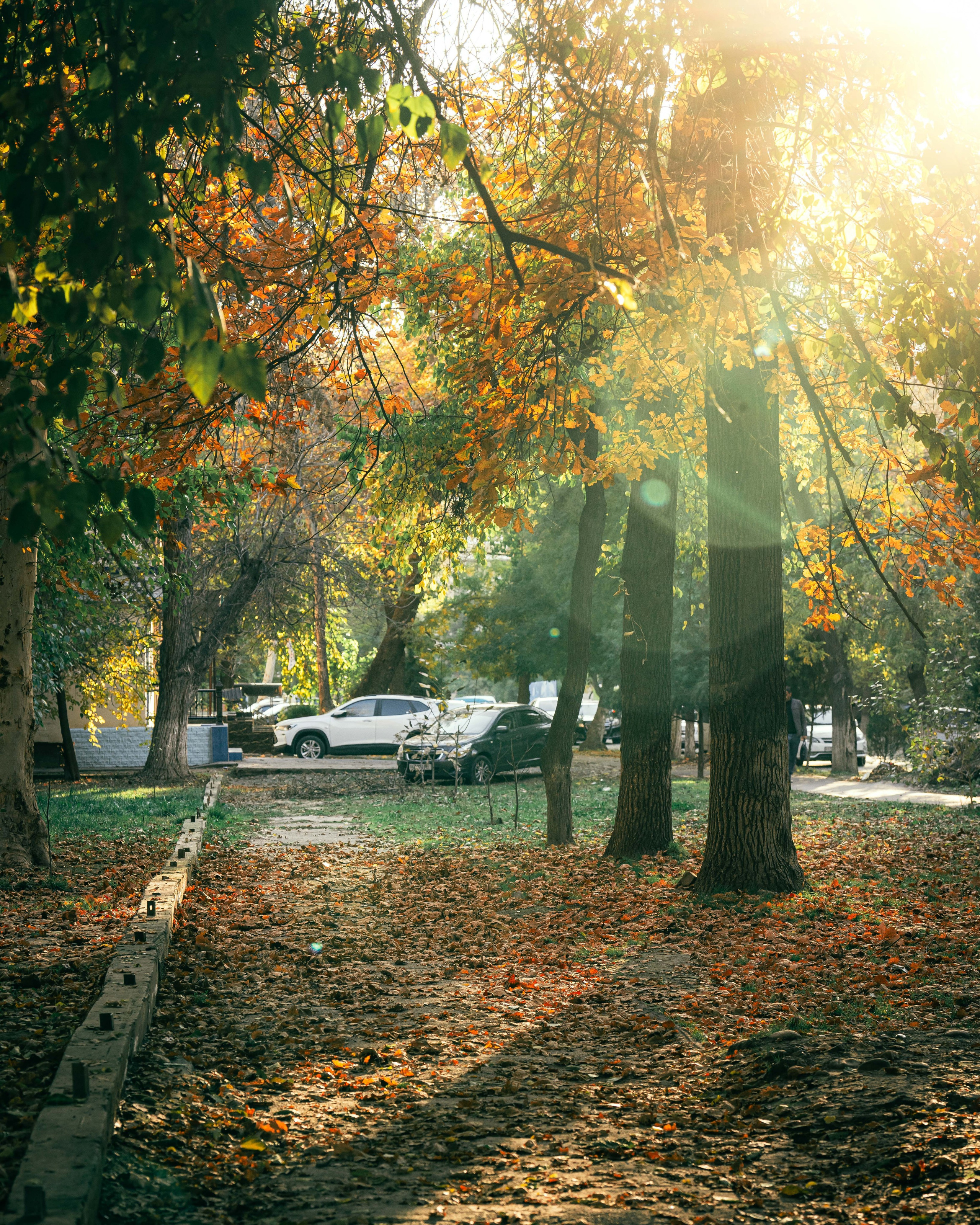 Ташкентская осень. Георгий Намазов | Фотограф в Ташкенте