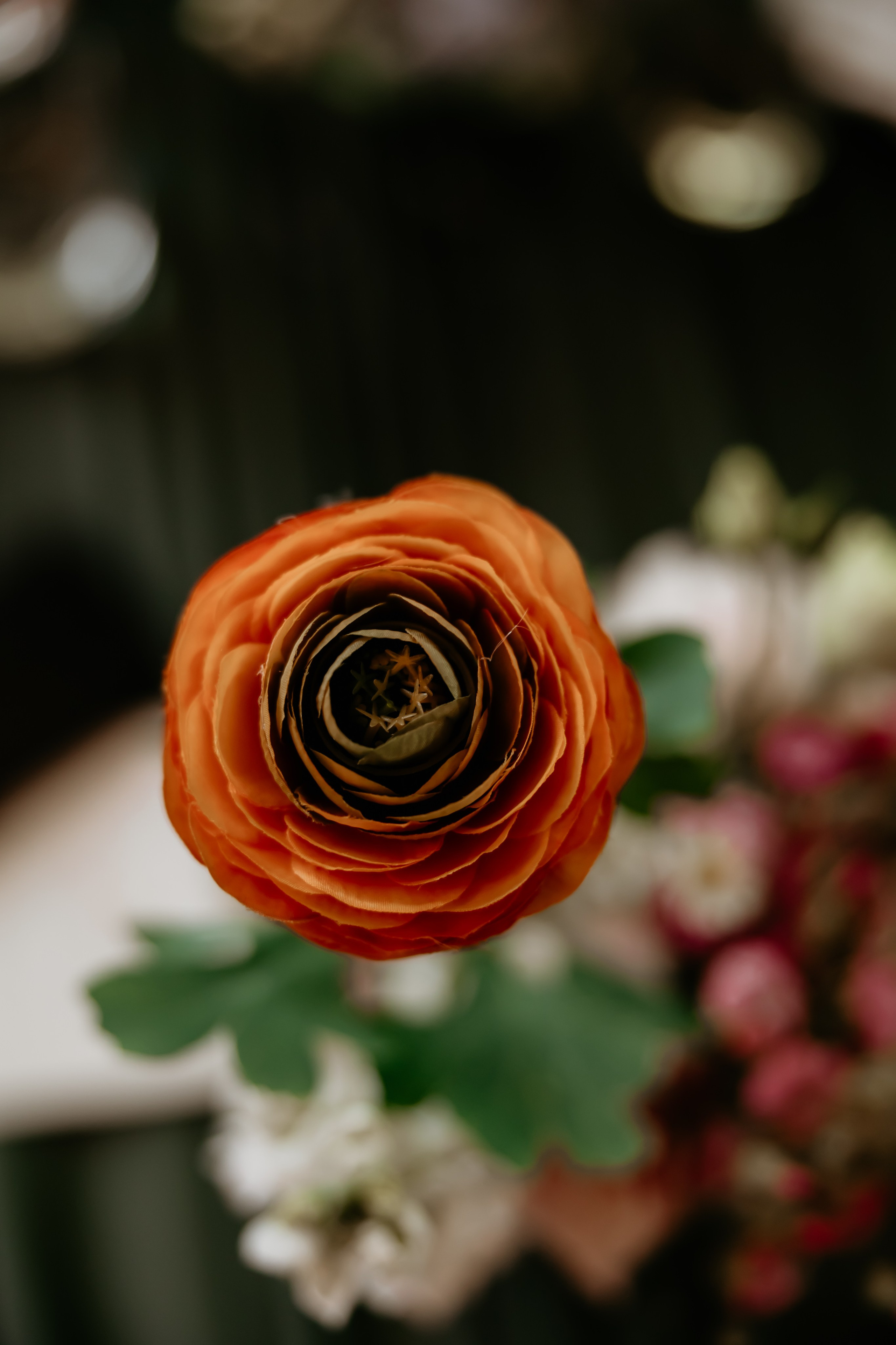 ROÐENDANAC. Family and children photographer in Belgrade Milja Ciric