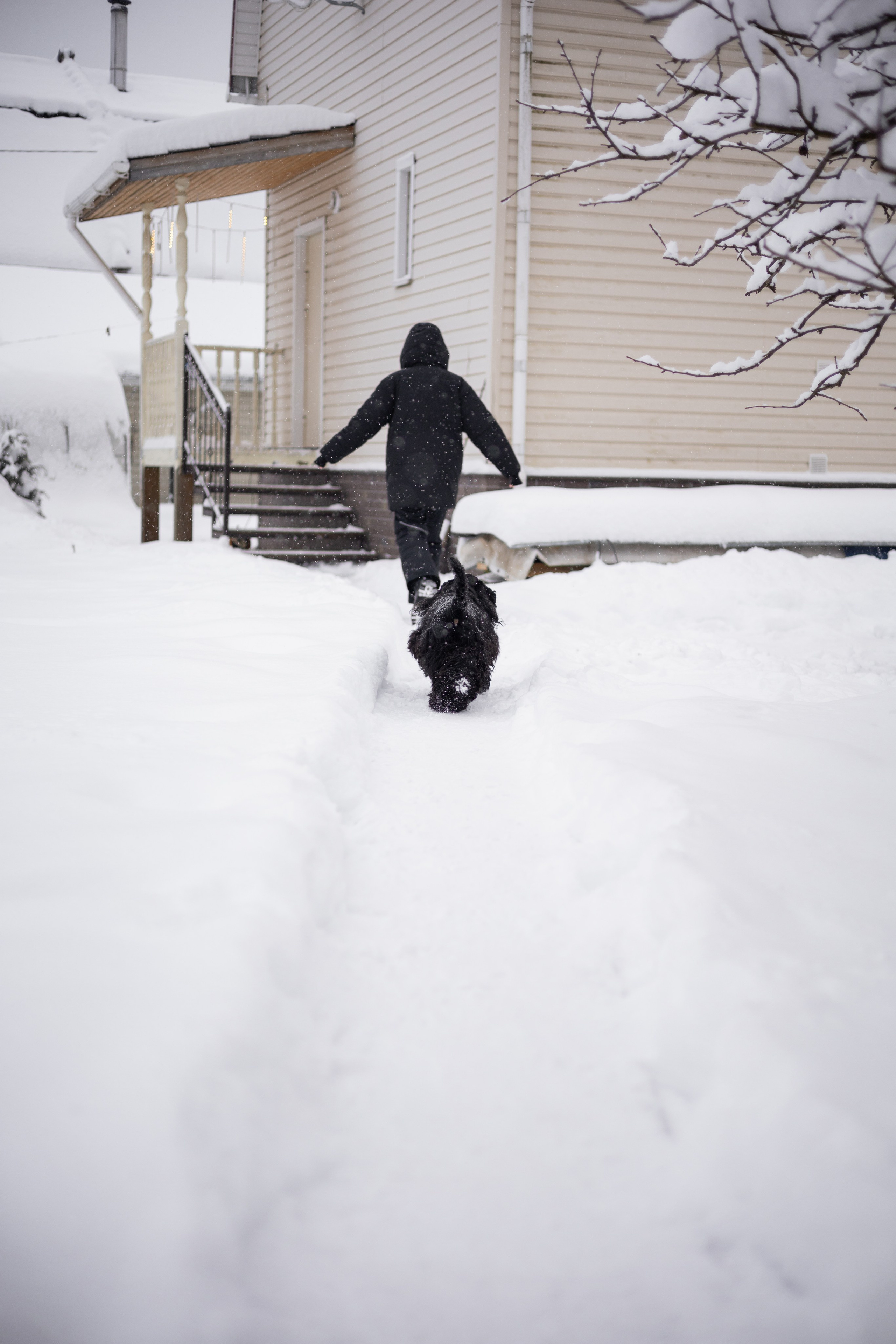 Кейт и Ен. Фотограф-анималист | Белград