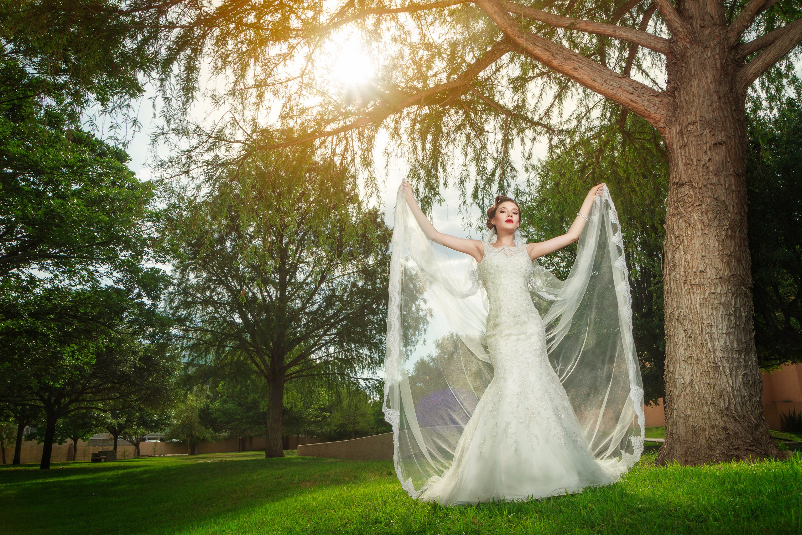Wedding. Professional Photographer in Chihuahua, Mexico — Alex Mendoza