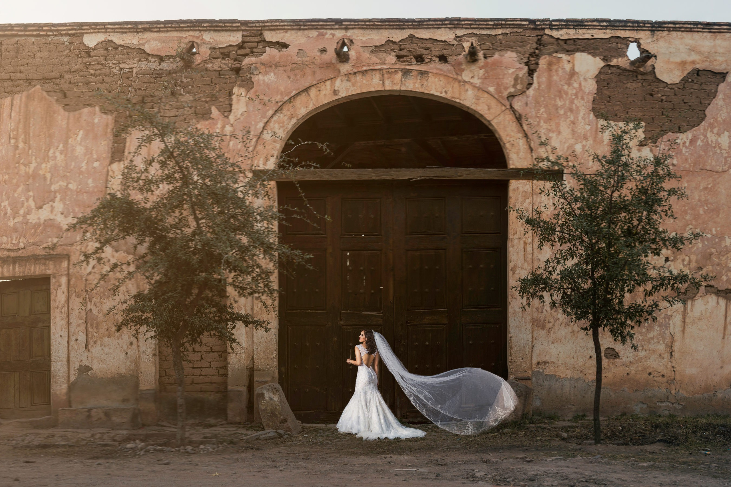 Wedding. Professional Photographer in Chihuahua, Mexico — Alex Mendoza